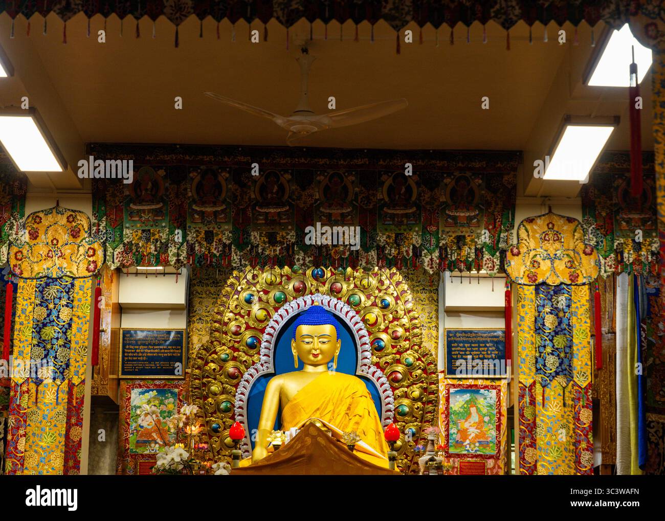 Tempio del Dalai Lama, complesso di Tsuglagkhang Foto Stock