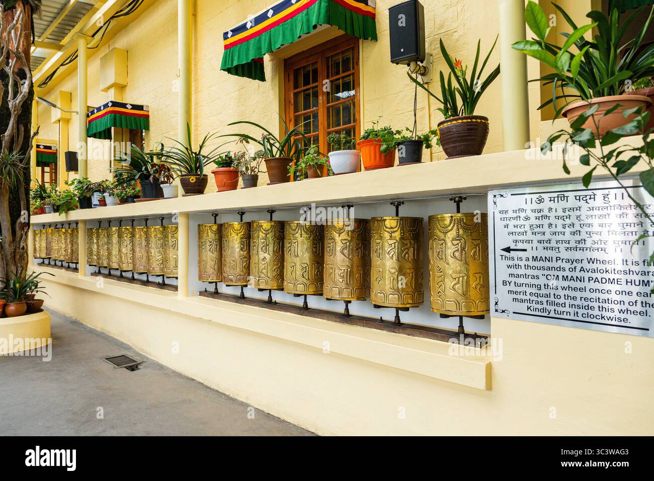 Tempio del Dalai Lama, complesso di Tsuglagkhang Foto Stock