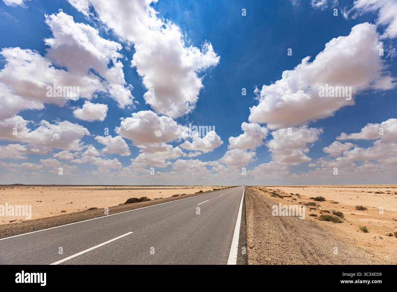 Desert Road, deserto libico (parte del Sahara), tra l'Oasi di Siwa e Marsa Matruh, Governatorato di Marsa Matrouh, Egitto, Nord Africa, Africa Foto Stock