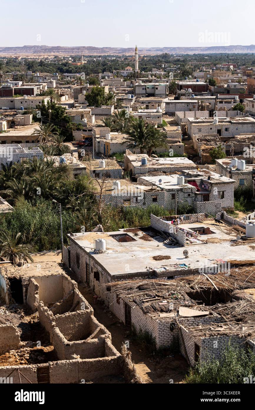 Oasi di Siwa, paesaggio urbano da Gebel el-Dakrour, oracolo di Amon, tempio di Amon, oasi di Siwa, governatorato di Marsa Matrouh, Egitto, Nord Africa, Africa Foto Stock