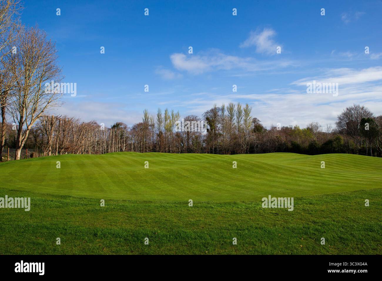 Putting green Foto Stock