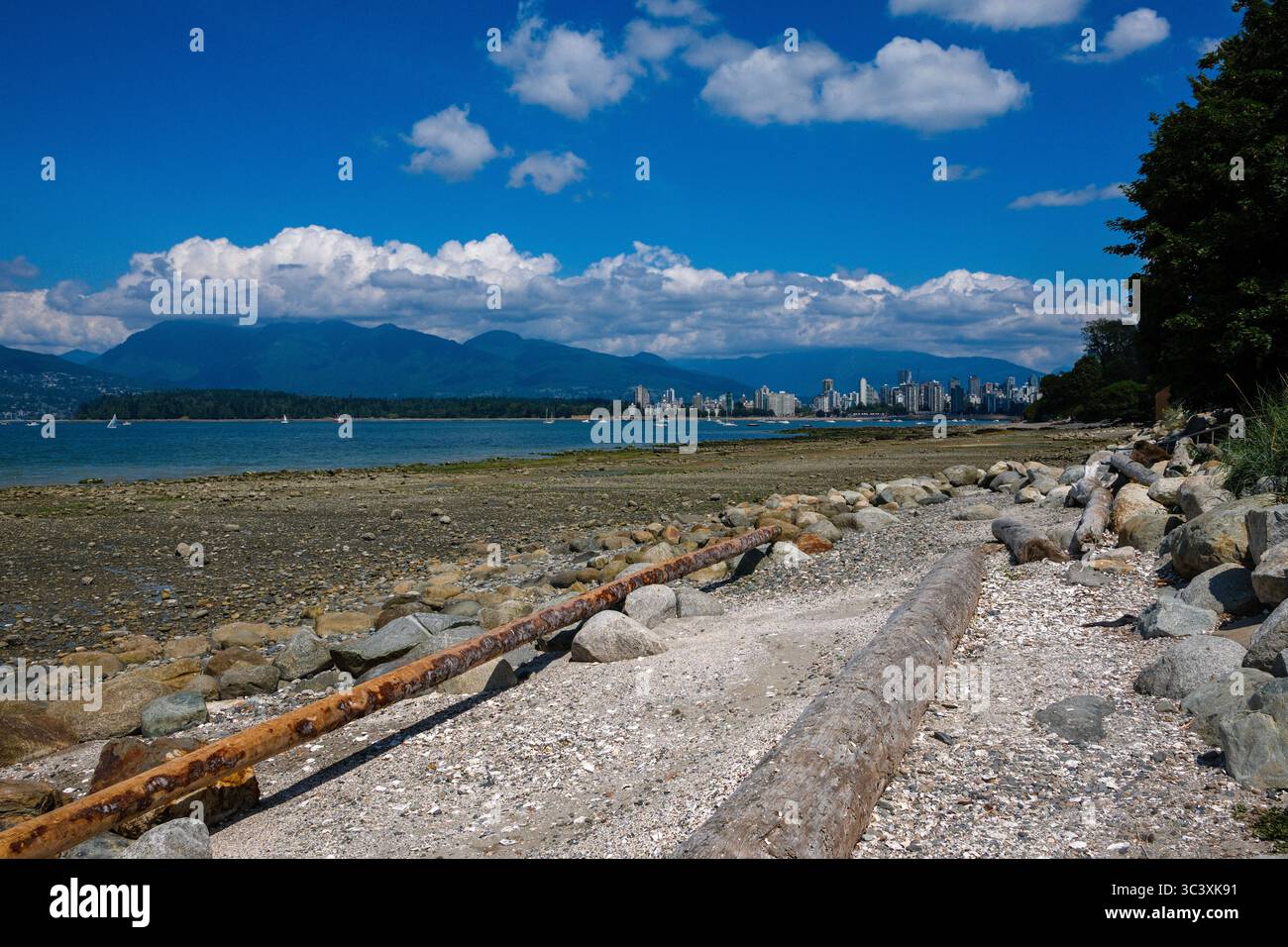 La marea è fuori lungo Linnea Beach a Point Grey, Vancouver, British Columbia. Stanley Park e il centro cittadino sono di fronte alle North Shore Mountains dietro. Foto Stock