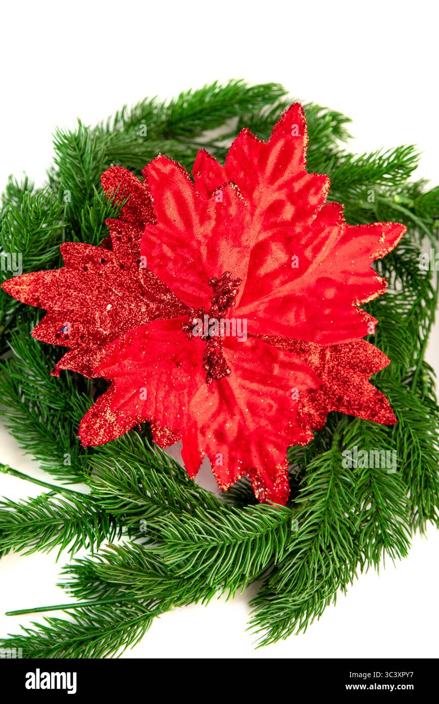 Punta rossa vellutata con dettagli glitterati si appoggia su rami di abete verde. Elegante arredamento natalizio su sfondo bianco, perfetto per le vacanze Foto Stock