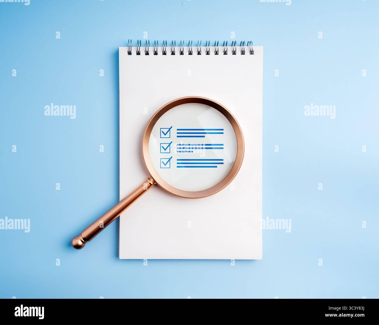 Elenco di controllo dei documenti, gestione dei certificati, audit e concetto di controllo qualità. Elenco di controllo dell'icona del documento, rivisto in lente di ingrandimento, su ve bianco Foto Stock