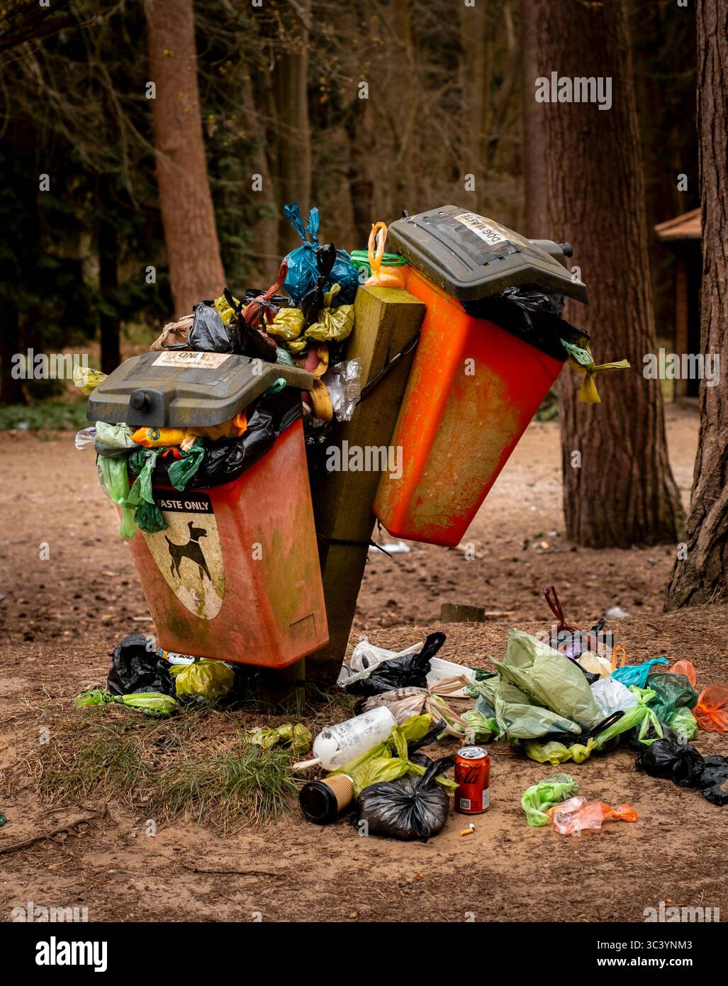 Contenitore per rifiuti Full Dog, Rendlesham Forest, Suffolk, Inghilterra Foto Stock