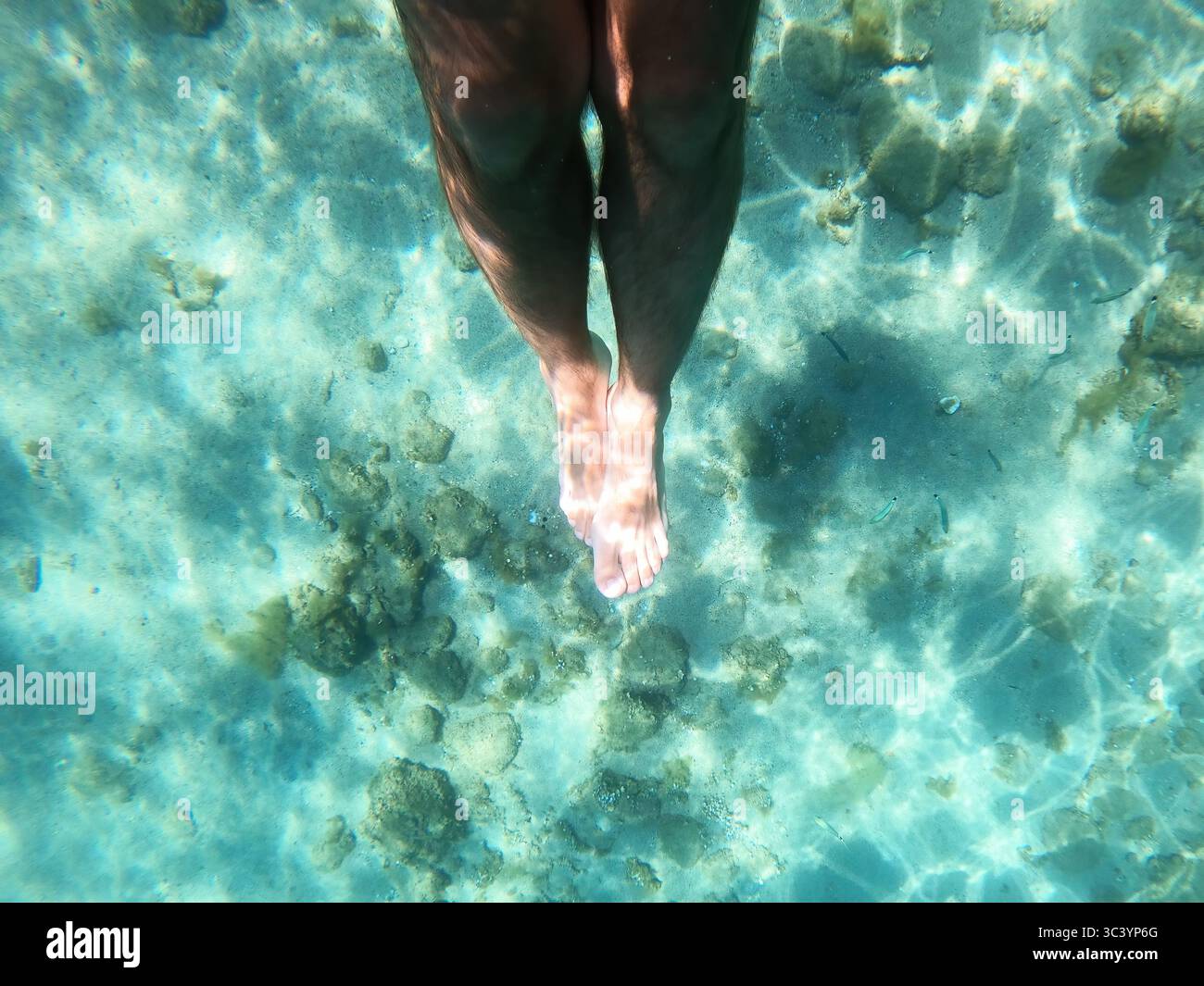 Gambe maschili sott'acqua in un mare turchese limpido sopra un fondale sabbioso con rocce e piccoli pesci, vista dall'alto verso il basso, scatto pov Foto Stock