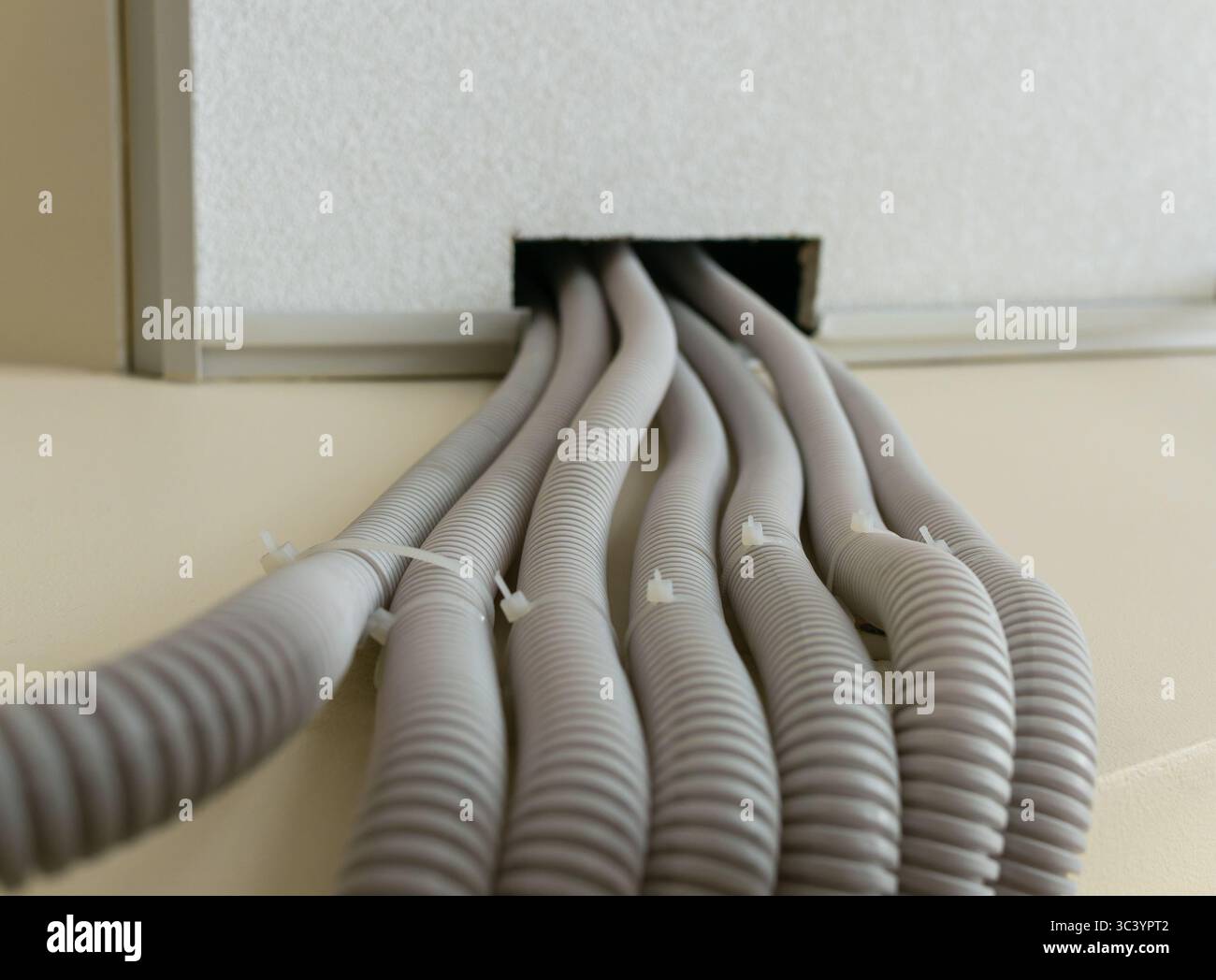 Vista verso l'alto dei fili nelle guaine protettive in plastica ondulata che corrono lungo la parete sotto un controsoffitto. Foto Stock