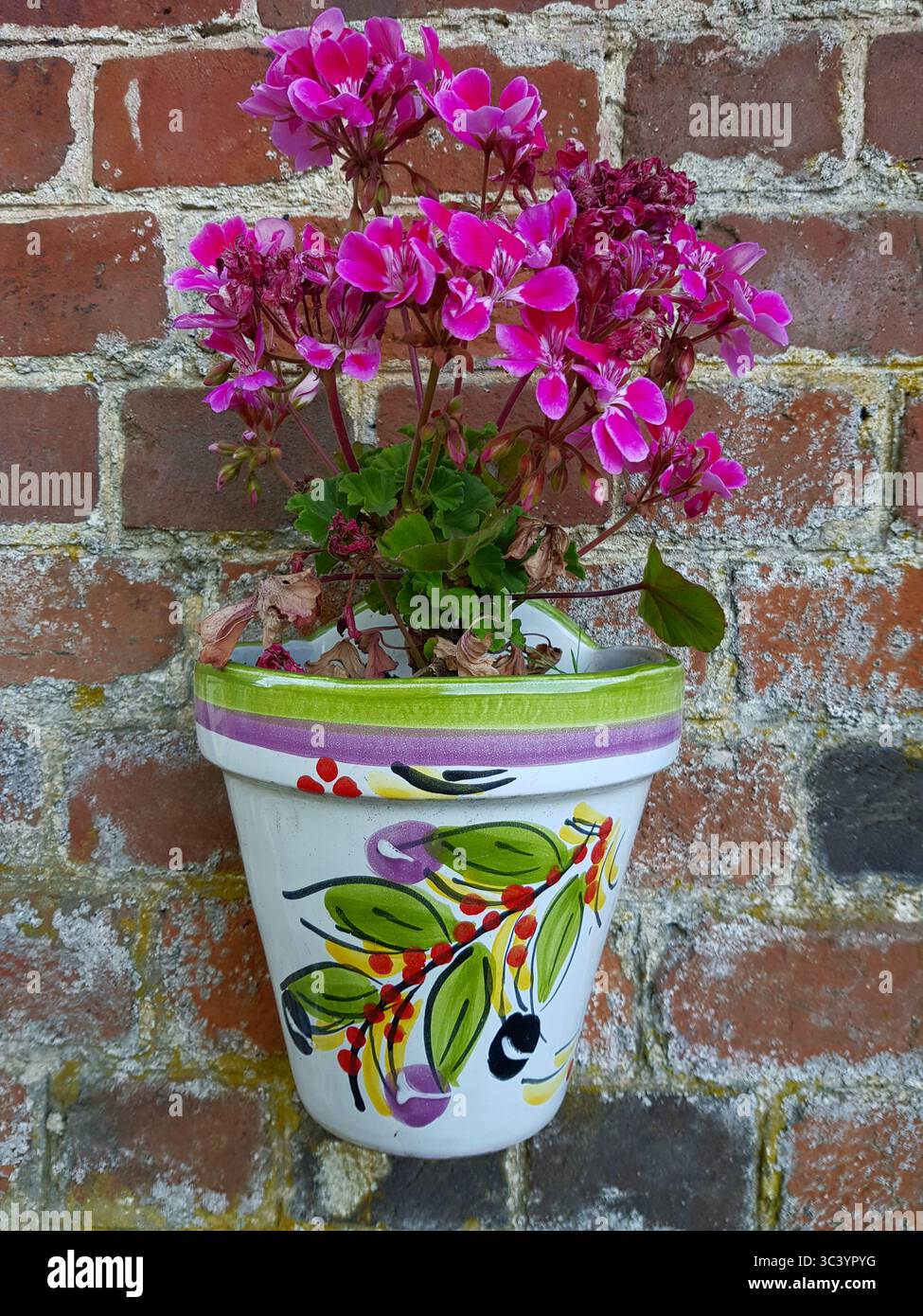 Un vaso decorativo di gerani rosa contro un vecchio muro di mattoni. Foto Stock