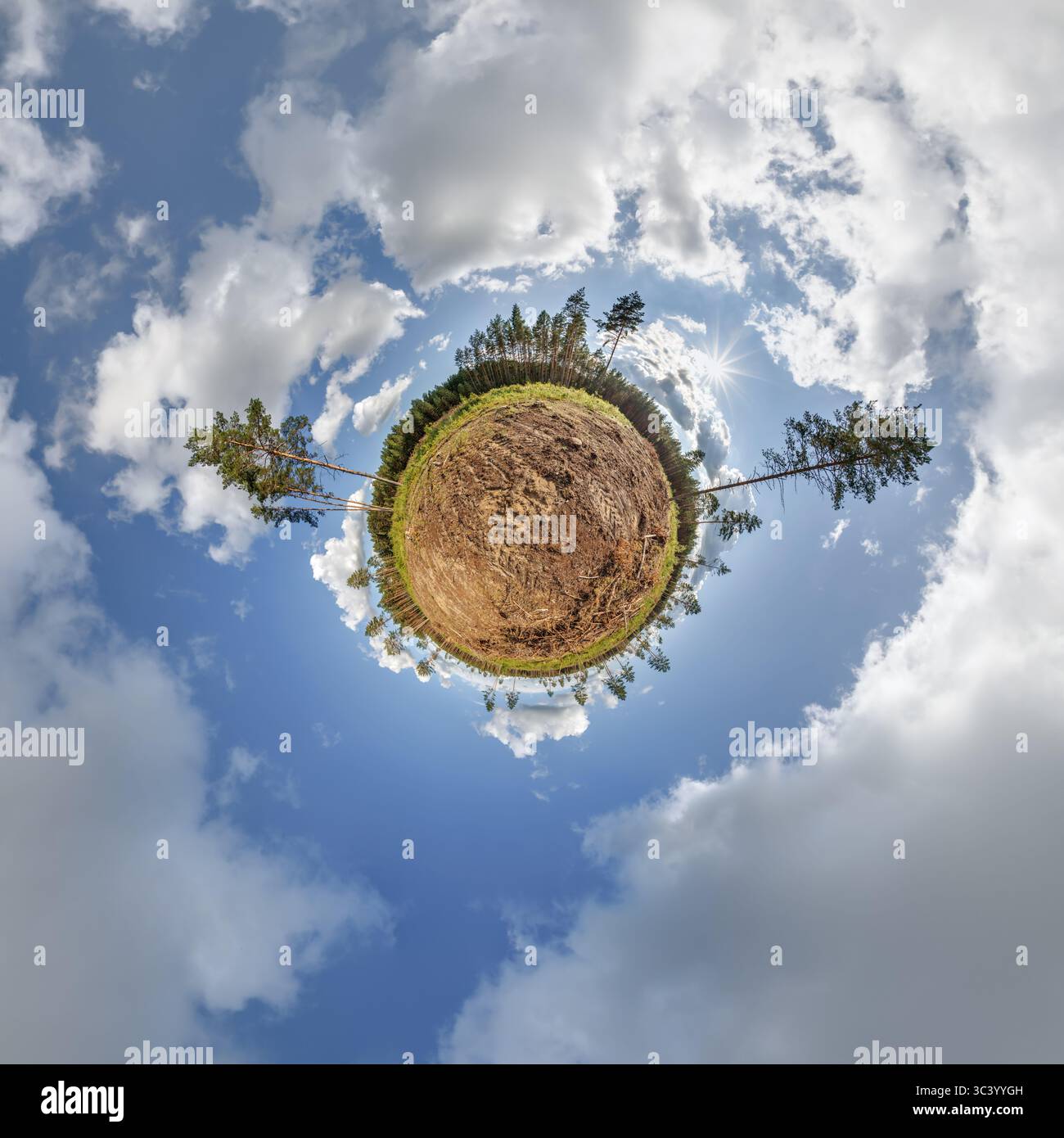 piccolo pianeta sotto forma di globo con alberi solitari tra la foresta tagliata. il problema dell'ecologia e della deforestazione Foto Stock