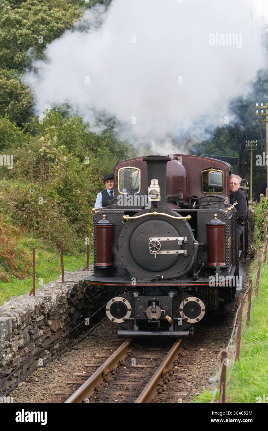 Un treno a vapore sulla Ffestiniog Railway in Galles Foto Stock