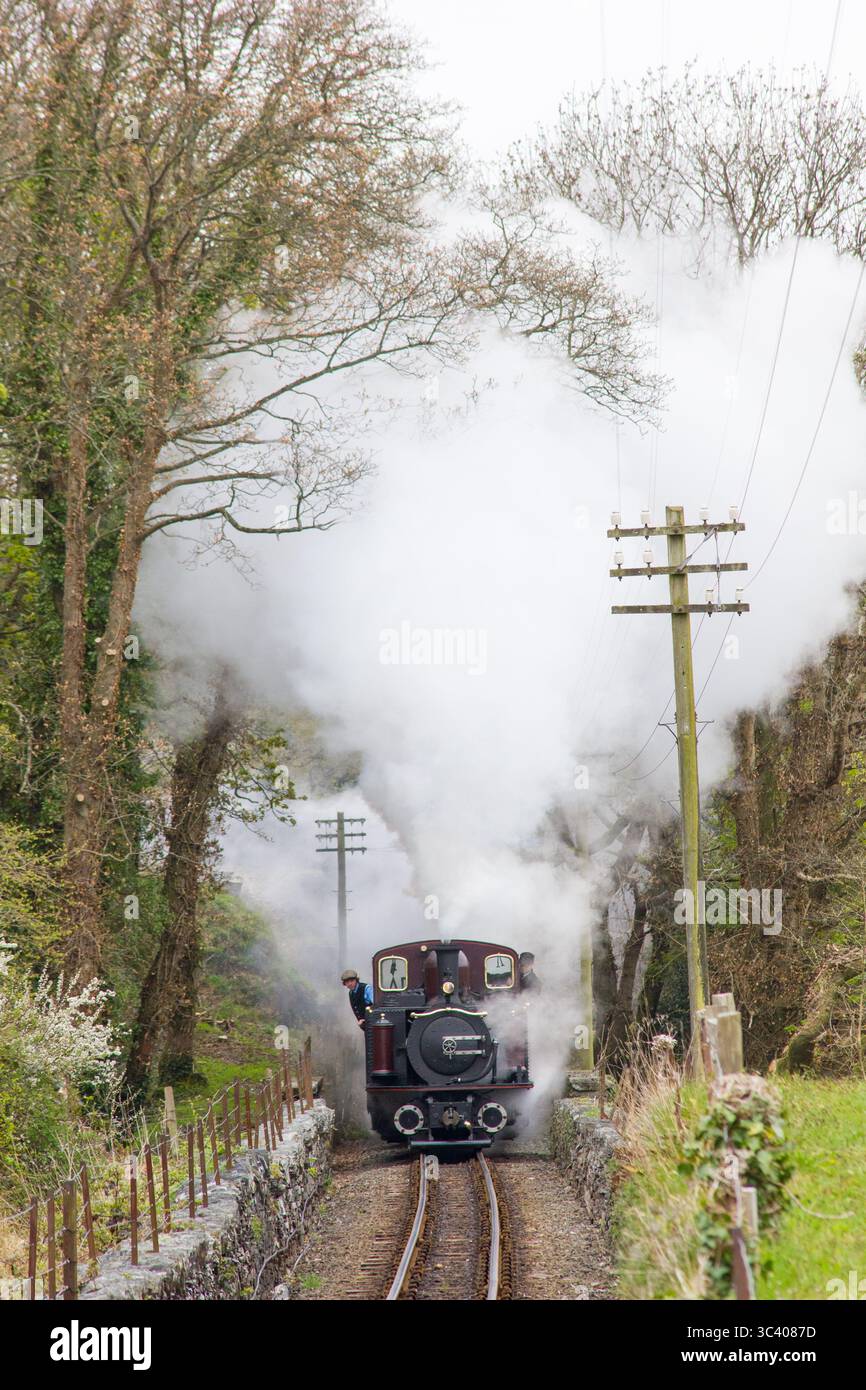 Un treno a vapore sulla Ffestiniog Railway in Galles Foto Stock