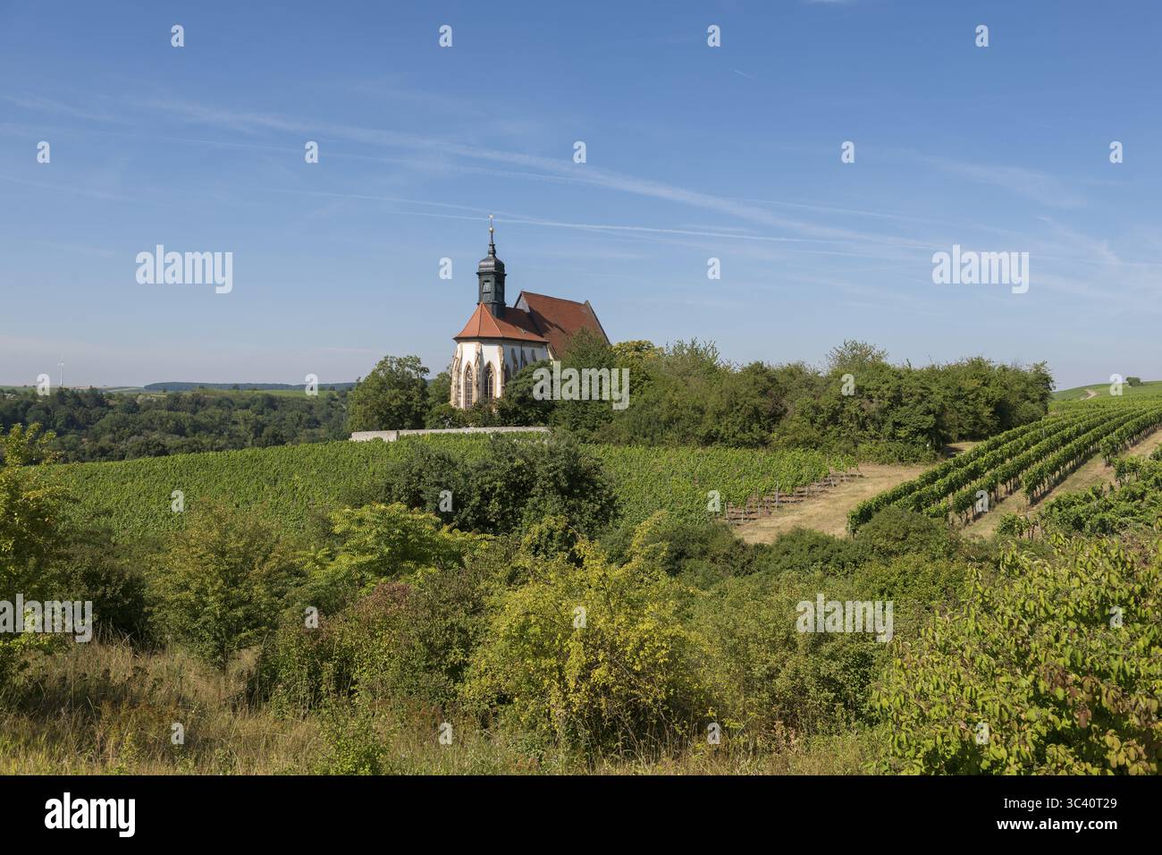 Chiesa di pellegrinaggio Maria im Weingarten, su una collina circondata da vigneti e alberi sotto un cielo blu, vicino a Volkach am Main, bassa Franconia, Mainfranke Foto Stock
