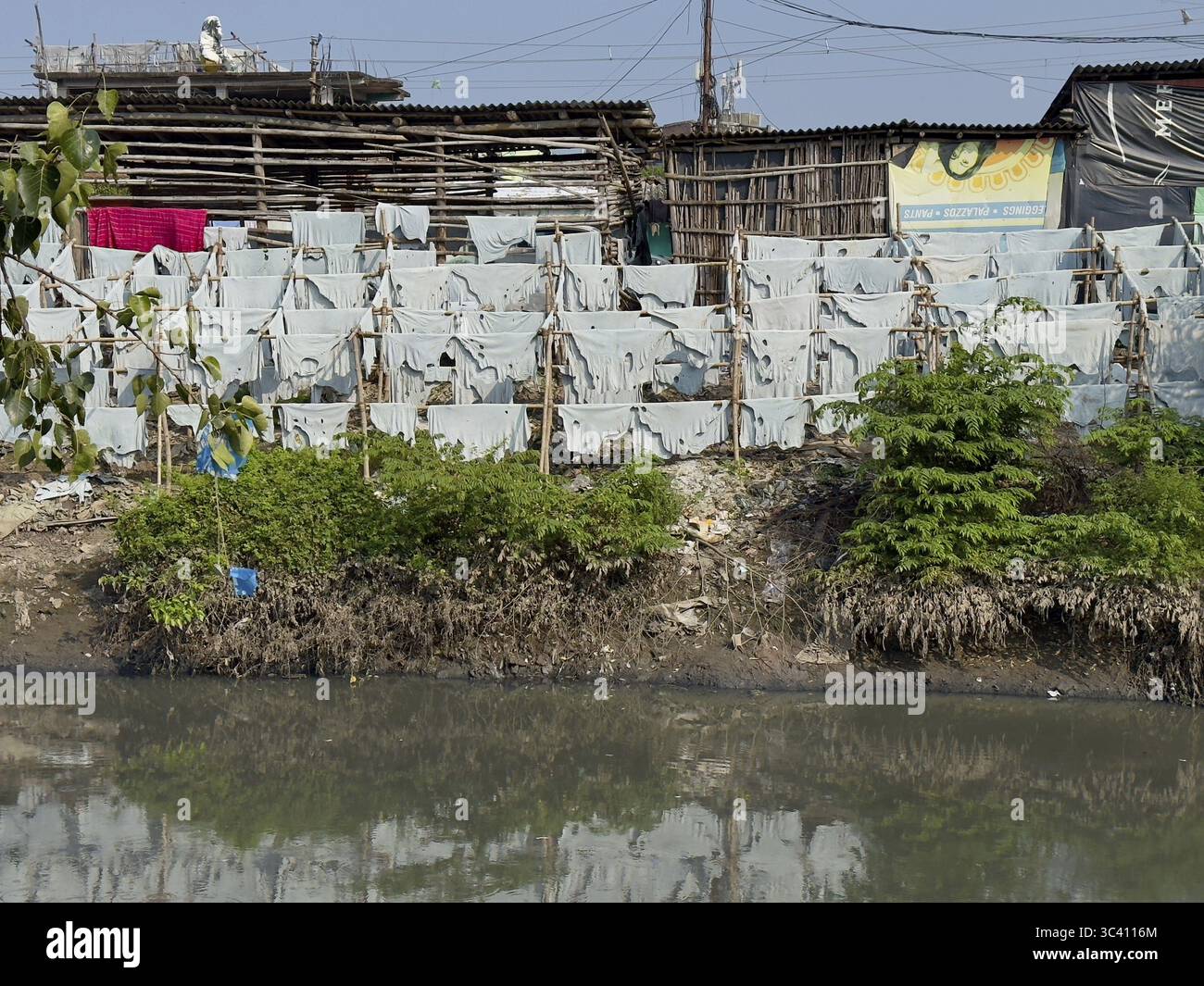 Pelle appesa ad asciugare su una riva del fiume in un ambiente rurale, Topsia, Kolkata, Bengala Occidentale, India Foto Stock