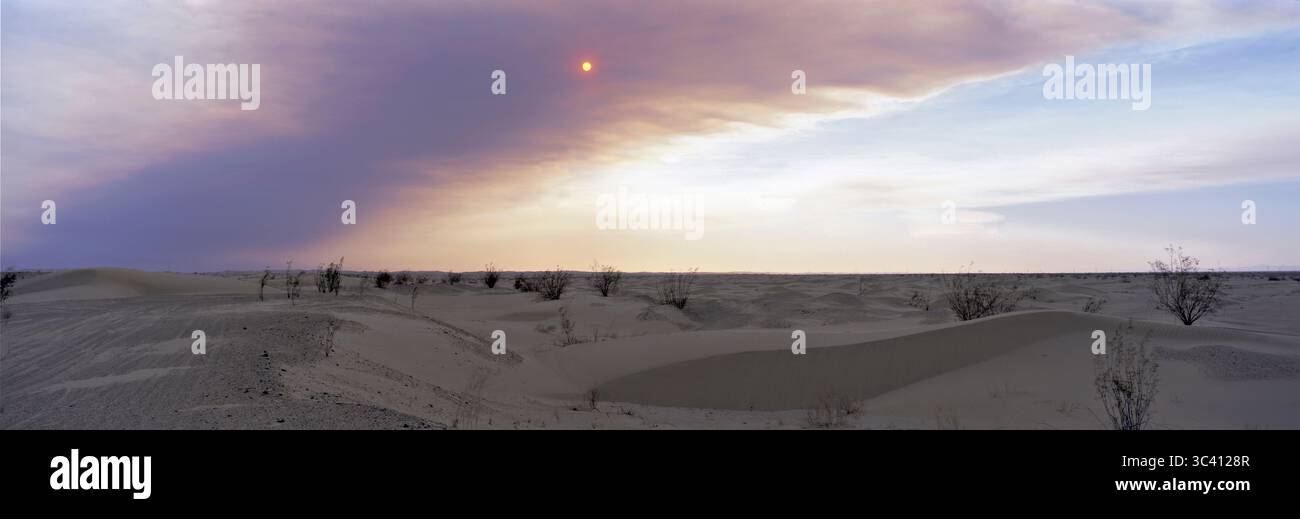 Imperial Valley, il primo importante distretto di irrigazione degli Stati Uniti occidentali Foto Stock