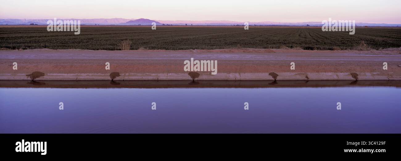 Imperial Valley, il primo importante distretto di irrigazione degli Stati Uniti occidentali Foto Stock