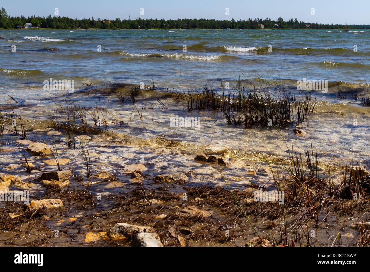 Lago Huron. La costa rocciosa selvaggia della penisola di Bruce. Ontario, Canada Foto Stock