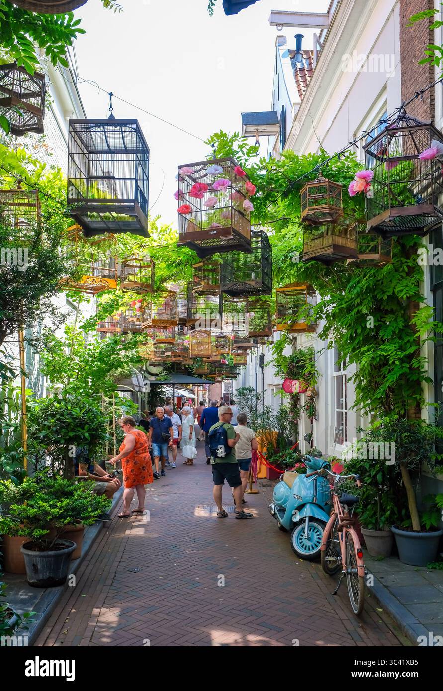 Middelburg, Zelanda, Paesi Bassi - Reigerstraat. Questo piccolo vicolo splendidamente decorato nella città vecchia, sede di allevatori di uccelli, è una delle città Foto Stock