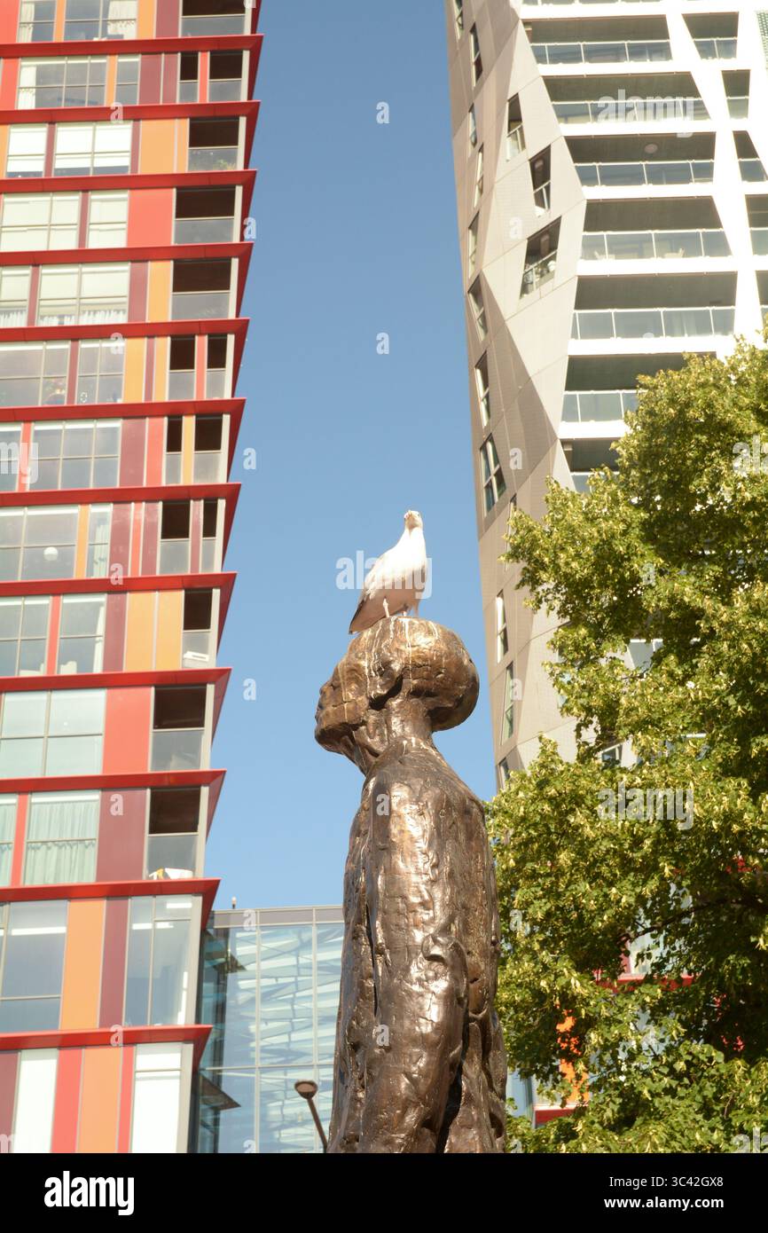 Gabbiano arroccato in cima alla statua ininterrotta della resistenza di Hubert van Lith nel centro di Rotterdam, Paesi Bassi Foto Stock