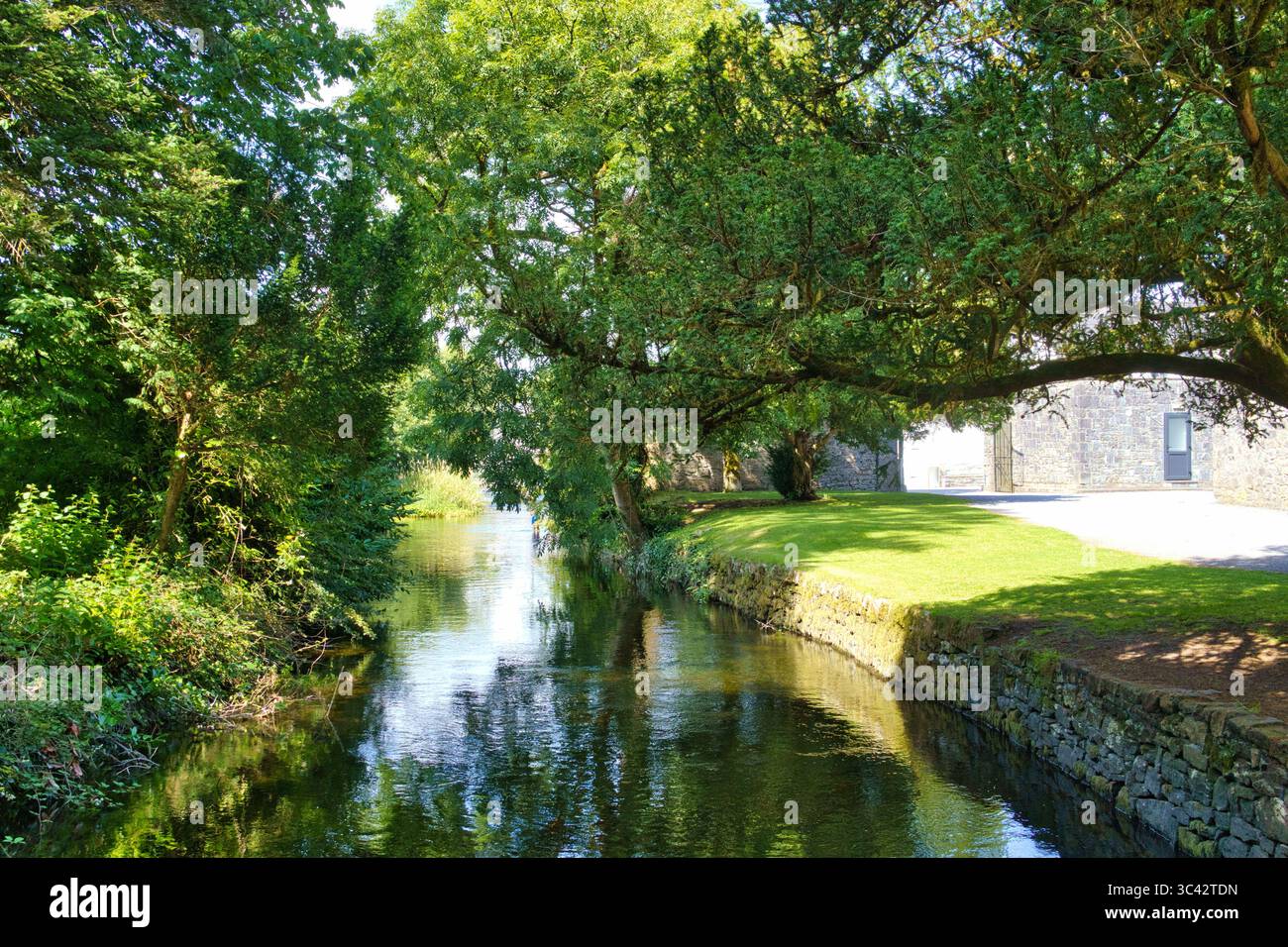 Un tranquillo fiume scorre attraverso un lussureggiante paesaggio verde in Irlanda, con alberi e un muro di pietra che aggiungono alla bellezza paesaggistica. Foto Stock