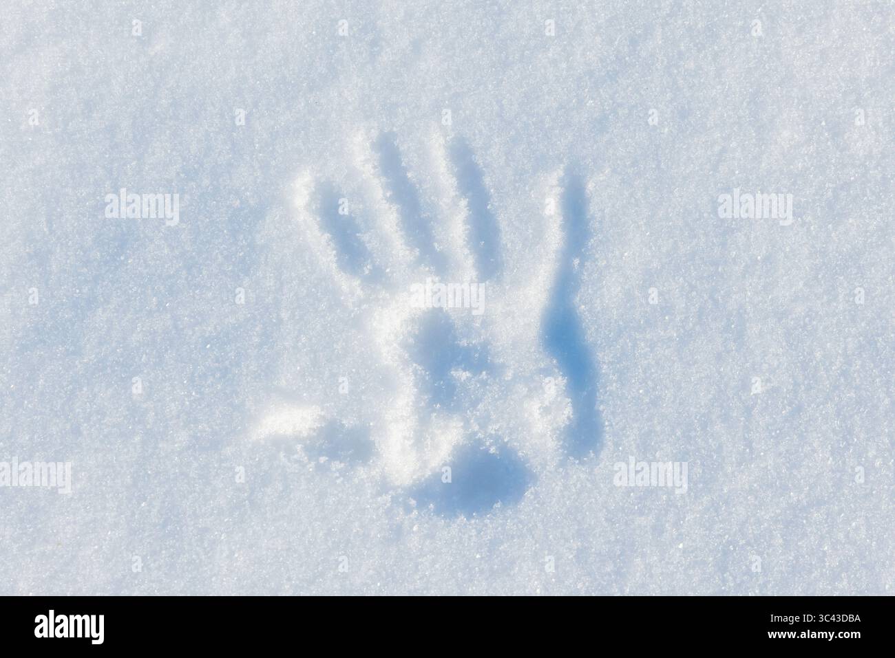 Un'impronta a mano dettagliata formata da neve incontaminata, che mostra l'ambiente invernale freddo e incontaminato. Rappresenta la presenza umana e l'interazione con nat Foto Stock