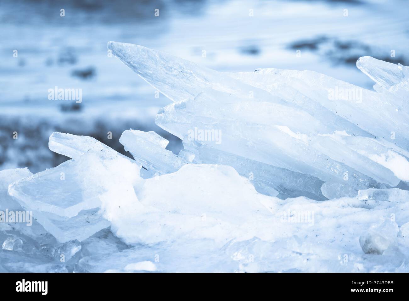 Un'intricata esposizione di frammenti di ghiaccio in un ambiente sereno e ghiacciato, catturando il freddo invernale e l'eleganza naturale. I colori ghiacciati trasmettono una bellezza fredda, mak Foto Stock