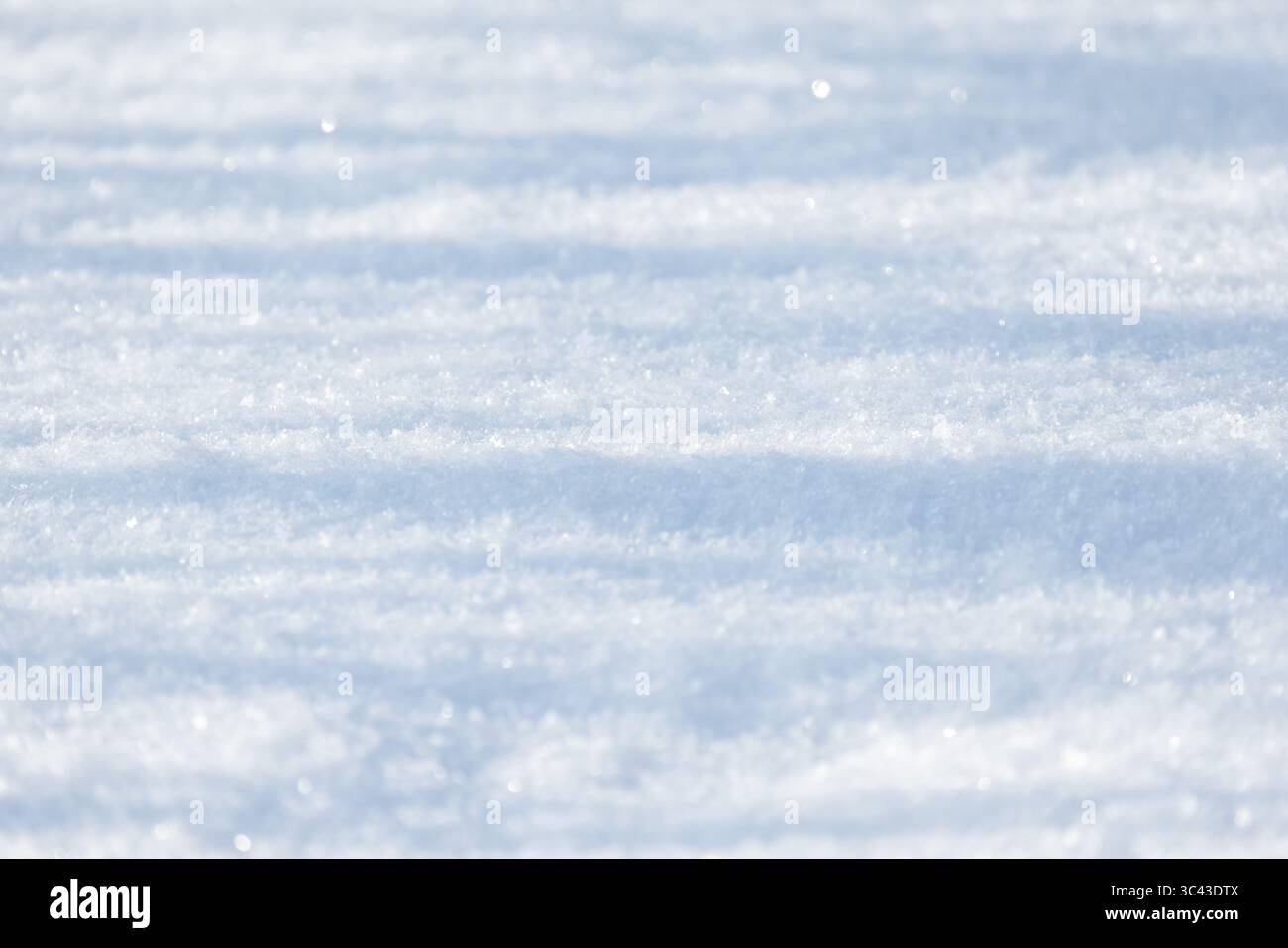 La neve bianca fresca brilla sotto la luce soffusa del sole, offrendo un'atmosfera invernale tranquilla e tranquilla, ideale per gli scenari stagionali e naturali o per ispirare Foto Stock