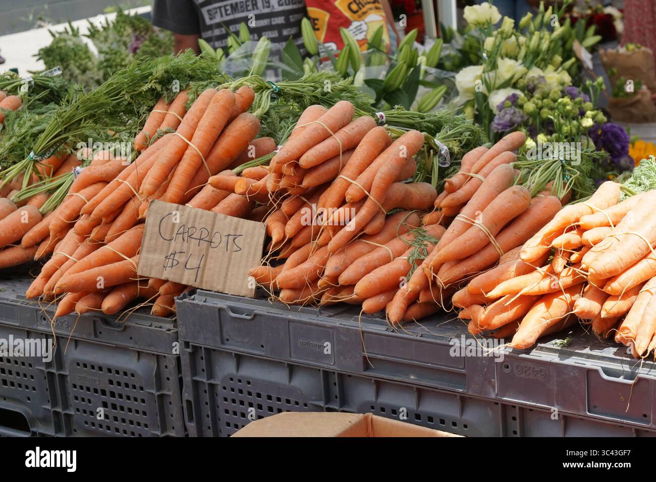 Venditore di carote in uno stand di alimenti biologici presso il mercato agricolo locale. Foto Stock