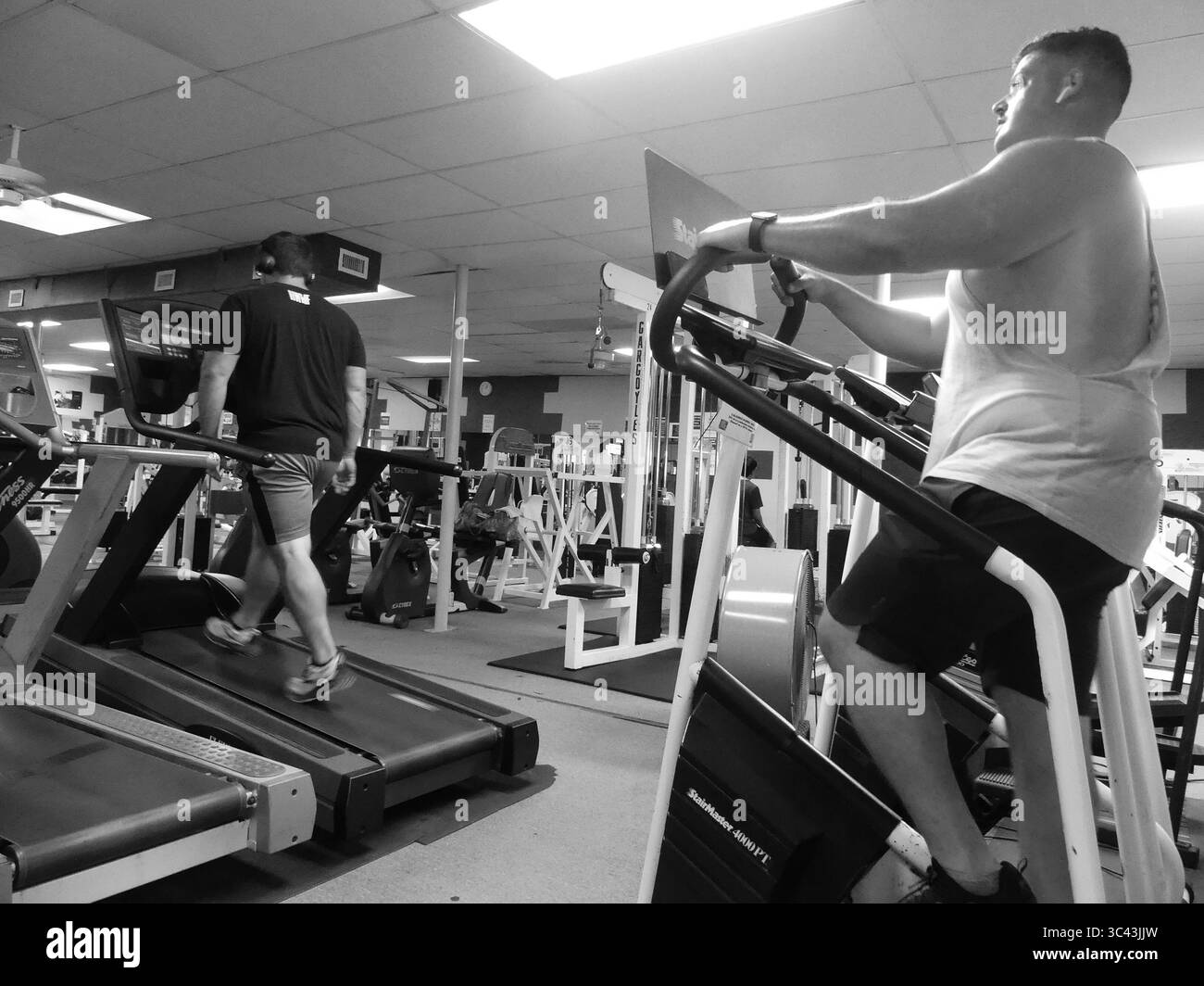 20 maggio 2021, New York, New York, Stati Uniti: Arcadia, Florida. Abbiamo finalmente trovato l'unica cosa che ci rende tutti più attraenti: Una vaccinazione, ha detto Andy Slavitt, uno dei consulenti per il coronavirus di Biden. Lo sforzo di datare le app si inserisce in una conversazione culturale su come gli americani, in particolare i giovani e vaccinati, possono avvicinarsi di nuovo insieme dopo così tanti mesi di essere stati informati di farlo potrebbe essere pericoloso. Secondo OkCupid, le persone che mostrano il loro stato di vaccinazione hanno il 14% di probabilità in più di ottenere una corrispondenza. (Immagine di credito: © John Marshall Mantel/ZUMA Wire) Foto Stock