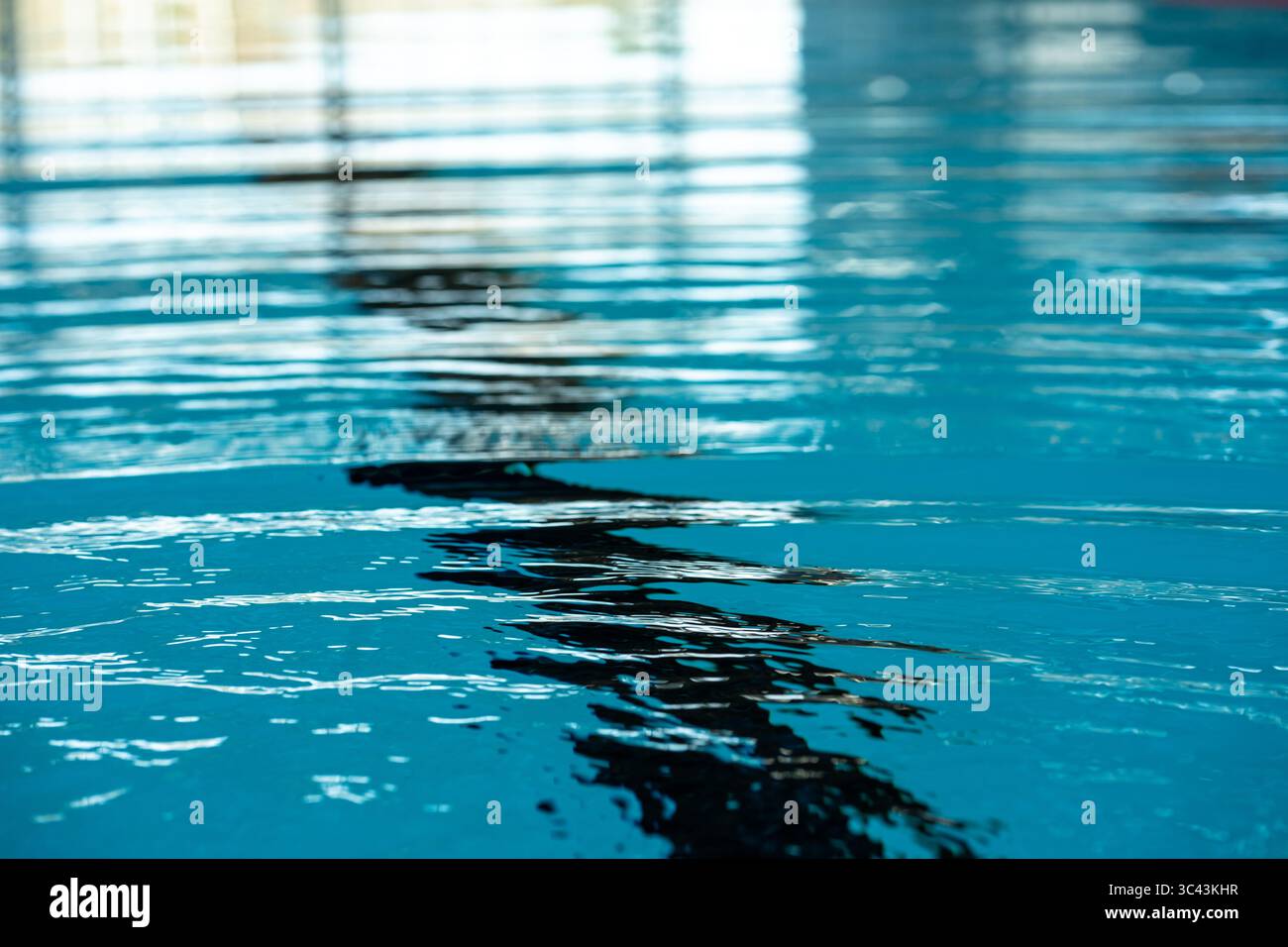 La tranquilla superficie blu dell'acqua riflette le linee di demarcazione della corsia in una piscina interna vuota, creando un'atmosfera serena e tranquilla Foto Stock