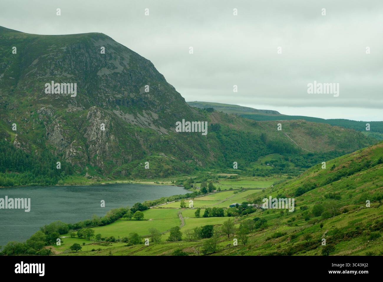 Si affaccia sul Llyn Cwellyn e sulle montagne gallesi dello Snowdonia National Park dal Snowdon Rangers Path Foto Stock