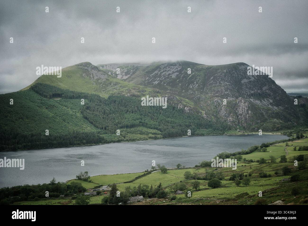 Si affaccia sul Llyn Cwellyn e sulle montagne gallesi dello Snowdonia National Park dal Snowdon Rangers Path Foto Stock