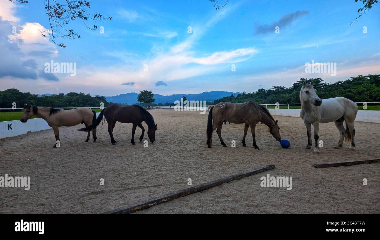 La scena fotografica mozzafiato al tramonto si svolge alle grotte di Batu in Malesia, dove un cielo d'ora d'oro incontra le luci della torre urbana e l'illuminazione notturna della strada. Da - Immagine stock catturata con smartphone