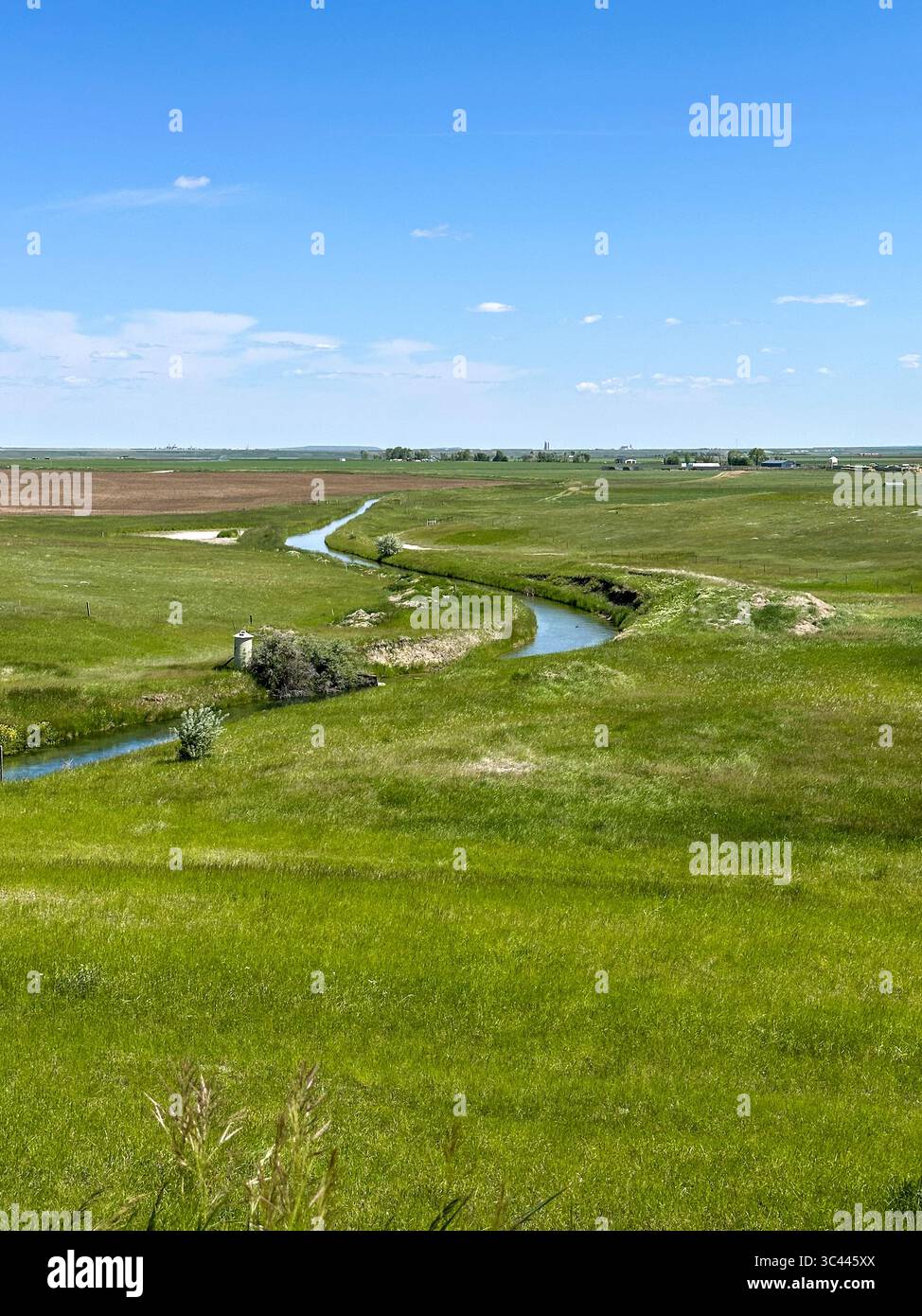 Un tortuoso canale di irrigazione scorre attraverso le lussureggianti praterie verdi del Montana sotto un cielo blu brillante, mostrando l'uso della terra rurale e la gestione dell'acqua Foto Stock