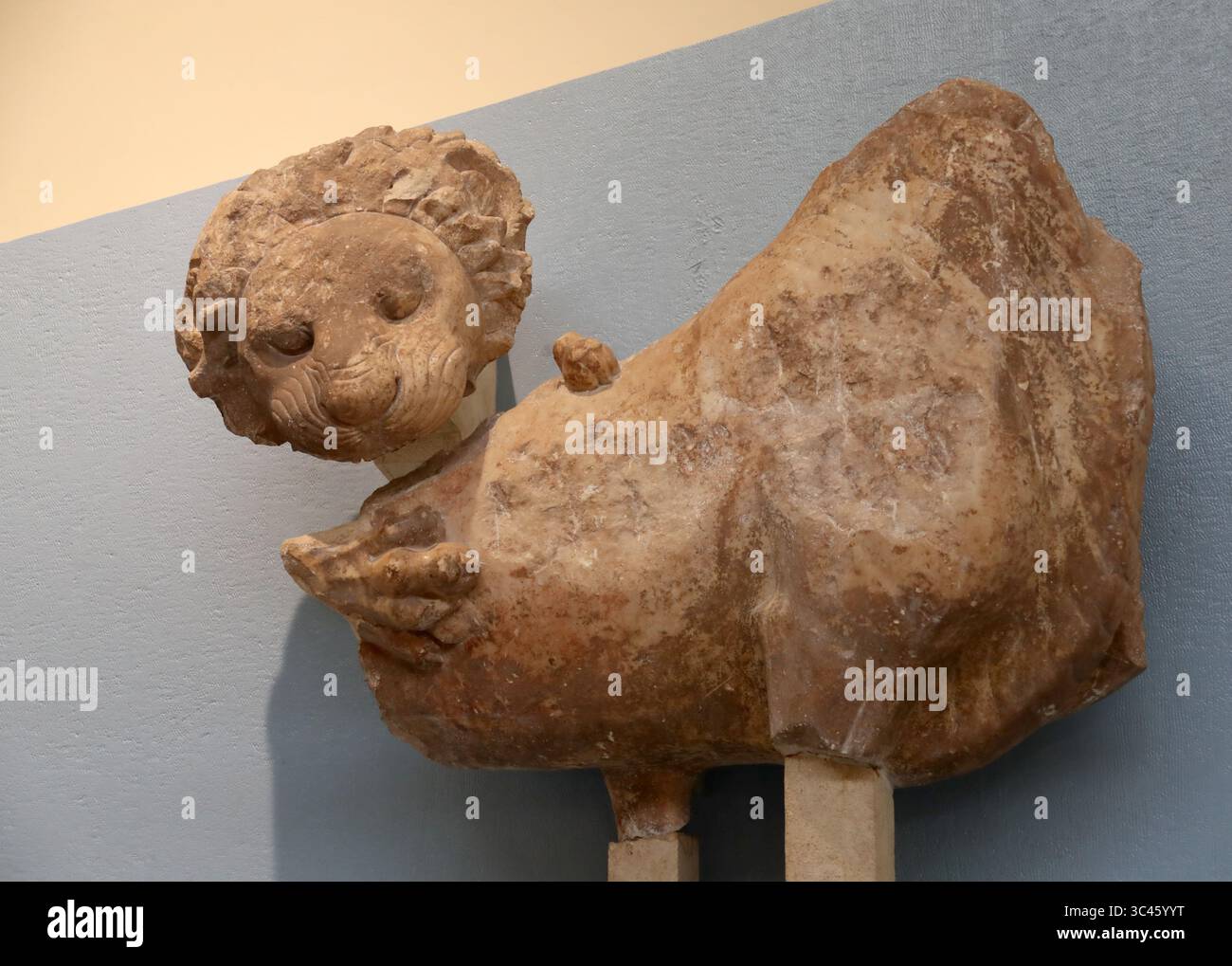 Frammenti di scultura greca antica con un leone, Museo Archeologico di Delfi, Delfi, Grecia, Europa. Frontone orientale del tempio di Apollo. Foto Stock