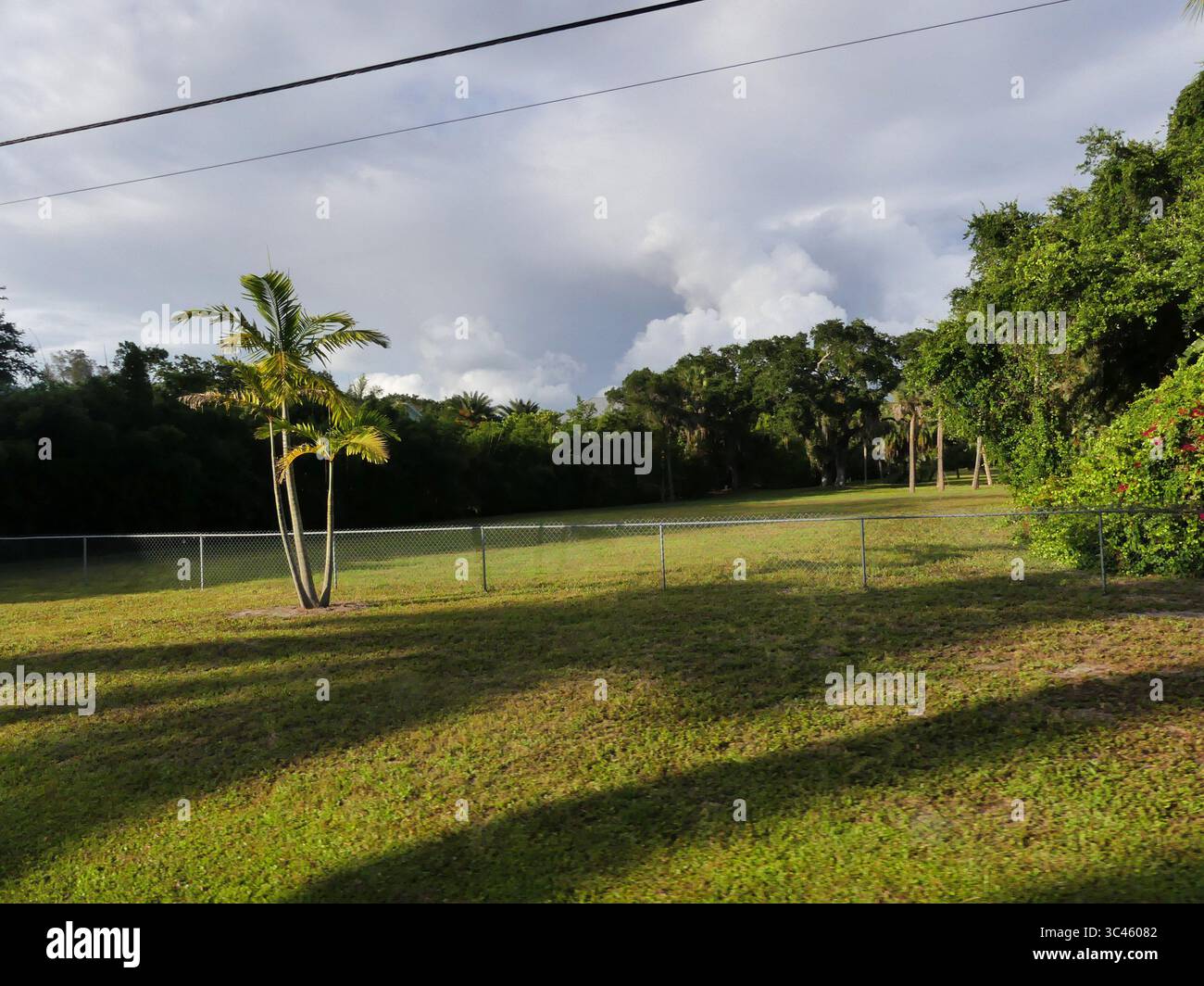 4 giugno 2021, SARASOTA, FLORIDA, Stati Uniti: Sarasota. Gli umani lasciano le loro impronte sulla terra in tutto il mondo. Questi cambiamenti nell'uso del suolo svolgono un ruolo importante per la nutrizione, il clima e la biodiversità. Gli scienziati hanno ora combinato i dati satellitari con le statistiche degli ultimi 60 anni e hanno scoperto che i cambiamenti globali di utilizzo del suolo influenzano circa il 32% dell'area terrestre. (Immagine di credito: © John Marshall Mantel/ZUMA Wire) Foto Stock