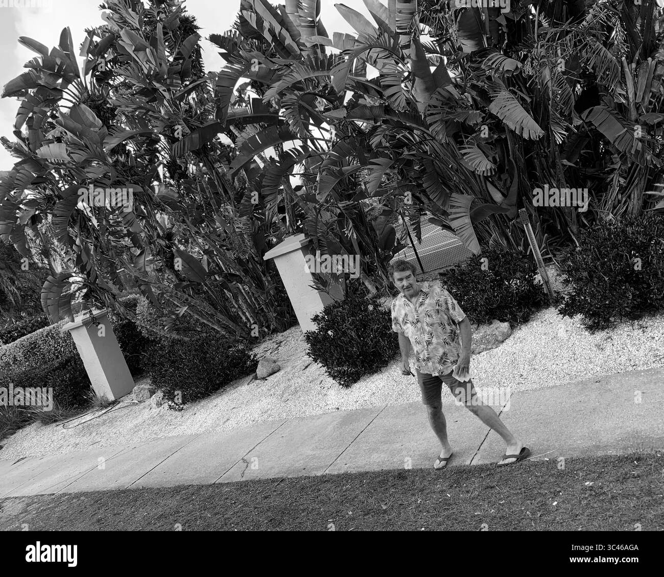 6 giugno 2021, Sarasota, Florida, Stati Uniti: Sarasota, Florida. I centri per il controllo e la prevenzione delle malattie hanno smesso di indagare le infezioni tra le persone completamente vaccinate a meno che non si ammalino così tanto da essere ricoverati in ospedale o morire. Fino alla fine di aprile, quando 101 milioni di americani erano stati vaccinati, il C.D.C. aveva ricevuto 10.262 segnalazioni di infezioni da 46 stati. Il sequenziamento genomico può essere fatto solo su 555 dei casi di svolta riportati. (Immagine di credito: © John Marshall Mantel/ZUMA Wire) Foto Stock