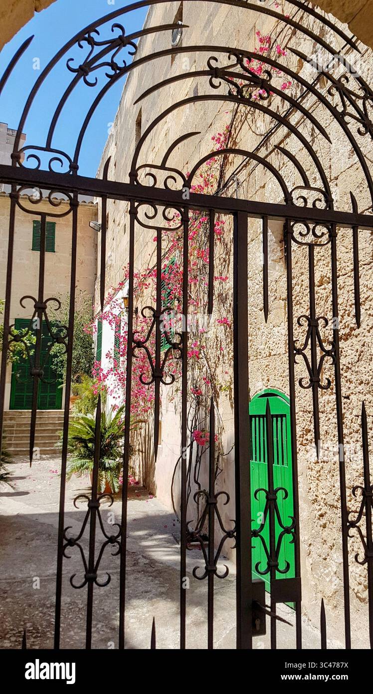 Bella porta di ferro ornata con pareti color sabbia e vista su un giardino mediterraneo con palme e fiori Foto Stock