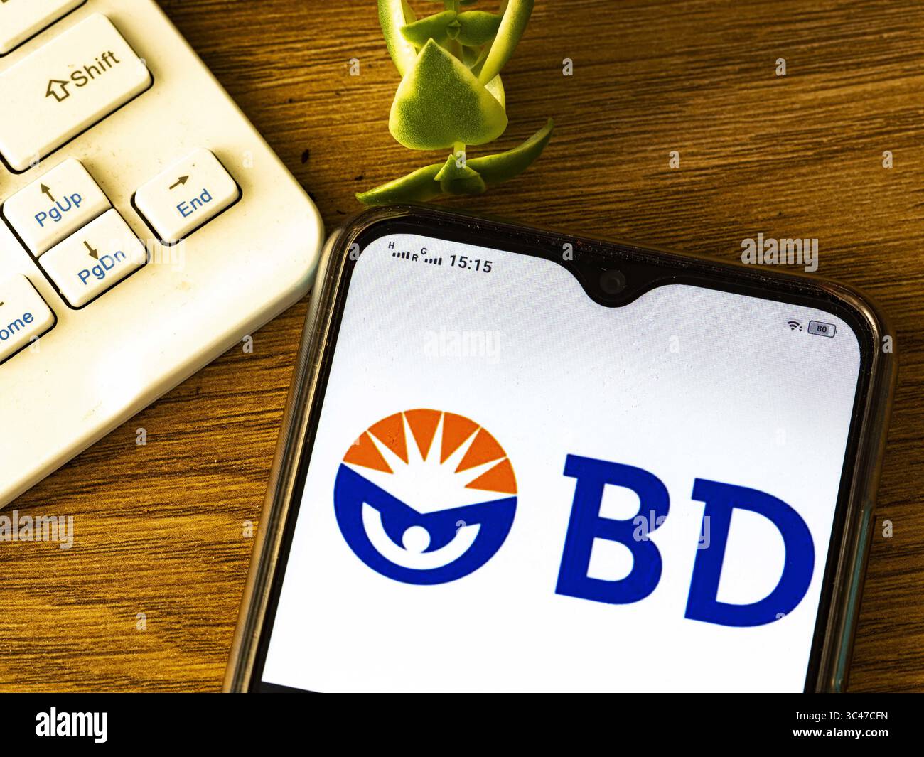 15 giugno 2021, Ucraina: In questa illustrazione fotografica, un logo Becton, Dickinson and Company visualizzato su uno smartphone. (Immagine di credito: © Igor Golovniov/immagini SOPA tramite filo ZUMA) Foto Stock