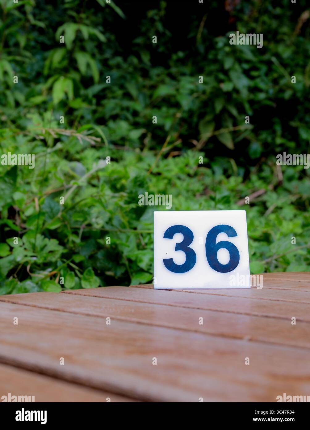 Numero 36 su un tavolo di legno con sfondo verde. Può essere utilizzato per l'età, l'indirizzo o altri concetti numerici. Foto Stock