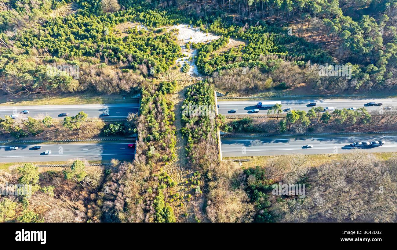 Aereo dall'ecodotto Hulshorst sulla Veluwe nei Paesi Bassi Foto Stock