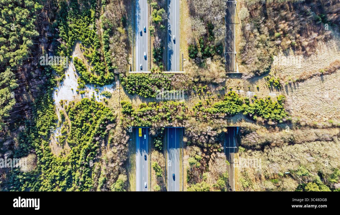 Ripresa aerea dall'ecodotto Hulshorst sulla Veluwe nei Paesi Bassi Foto Stock