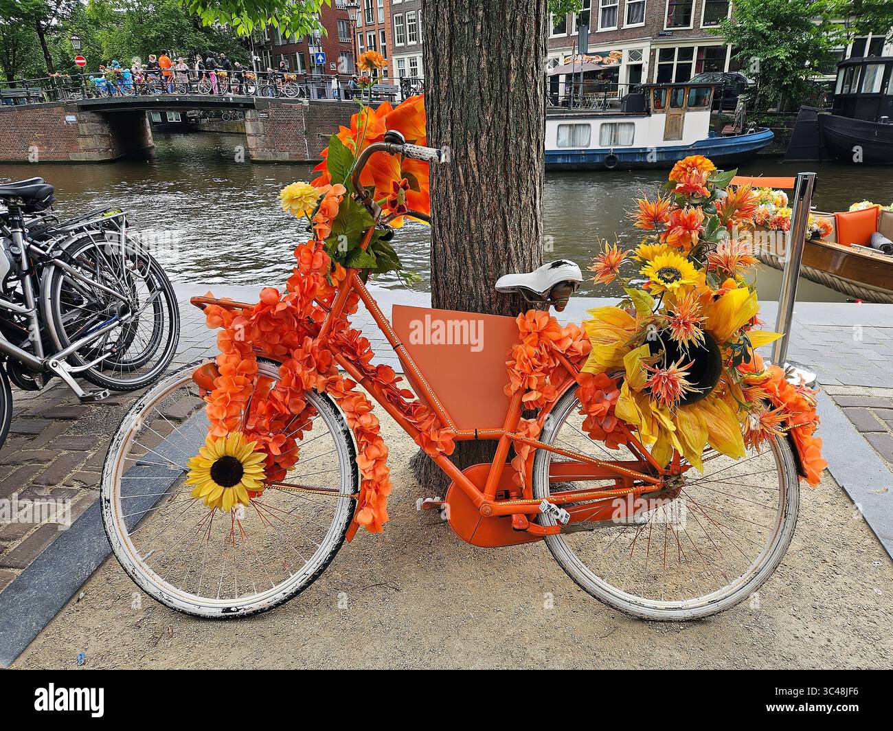 Bicicletta arancione parcheggiata contro un albero nel centro della città da Amsterdam, nei Paesi Bassi Foto Stock