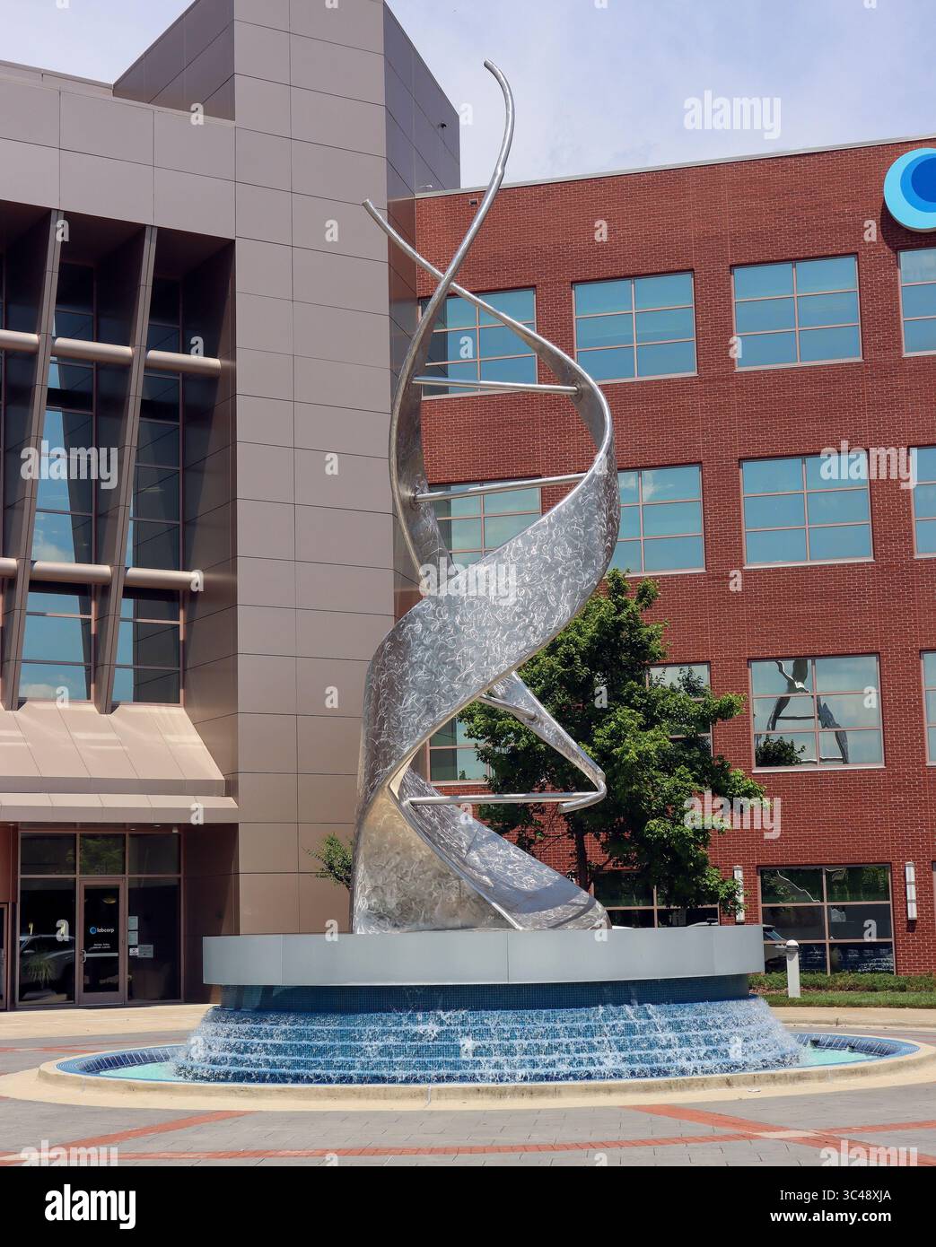 "Genesis", una torreggiante doppia elica in acciaio inossidabile di 36 piedi presso il quartier generale della LabCorp di Burlington, spira verso il cielo come un scintillante monumento al DNA. Foto Stock