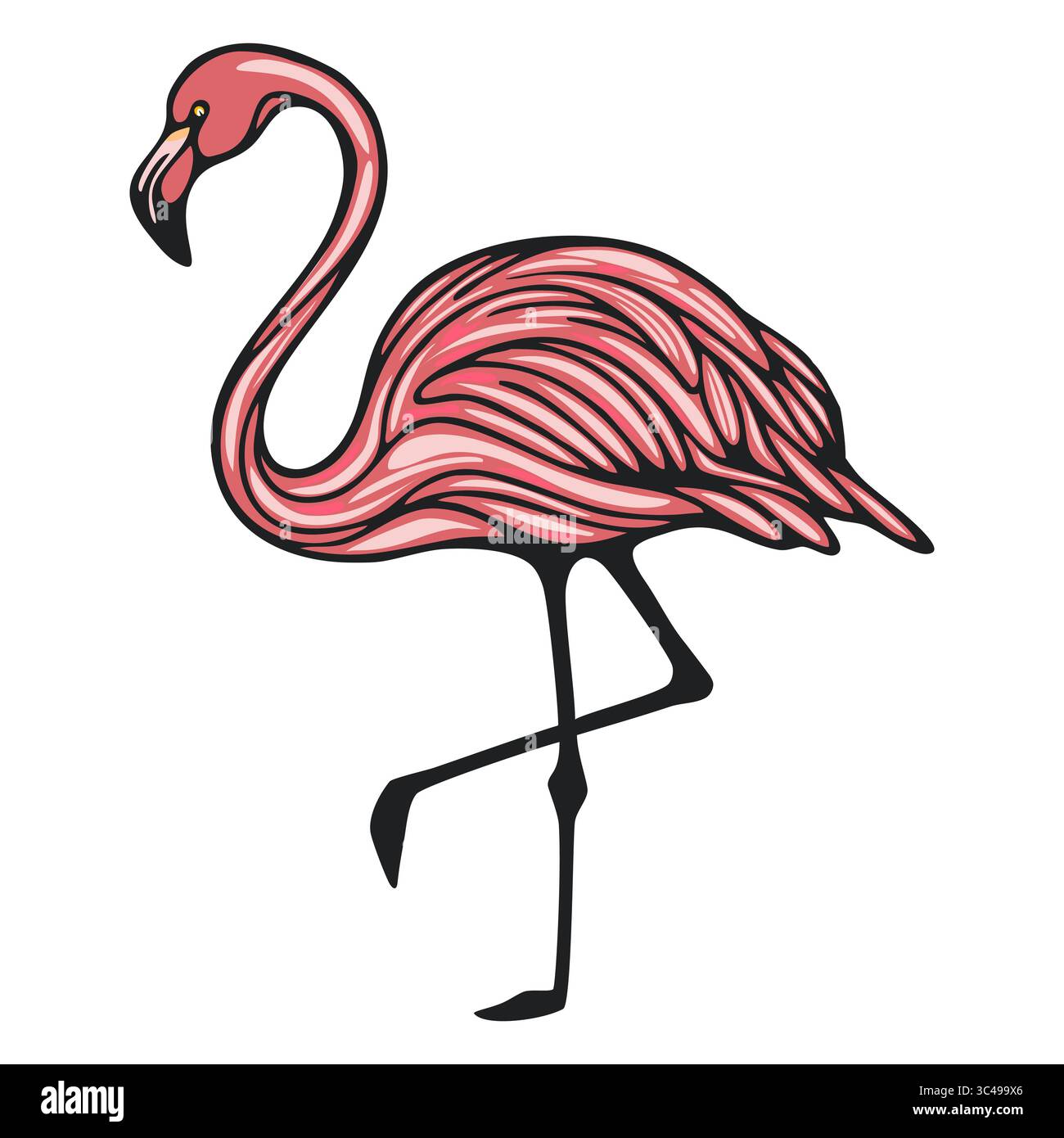 Illustrazione vettoriale stilizzata di un fenicottero in piedi su una gamba, con piume rosa vivaci e un contorno nero. Illustrazione Vettoriale