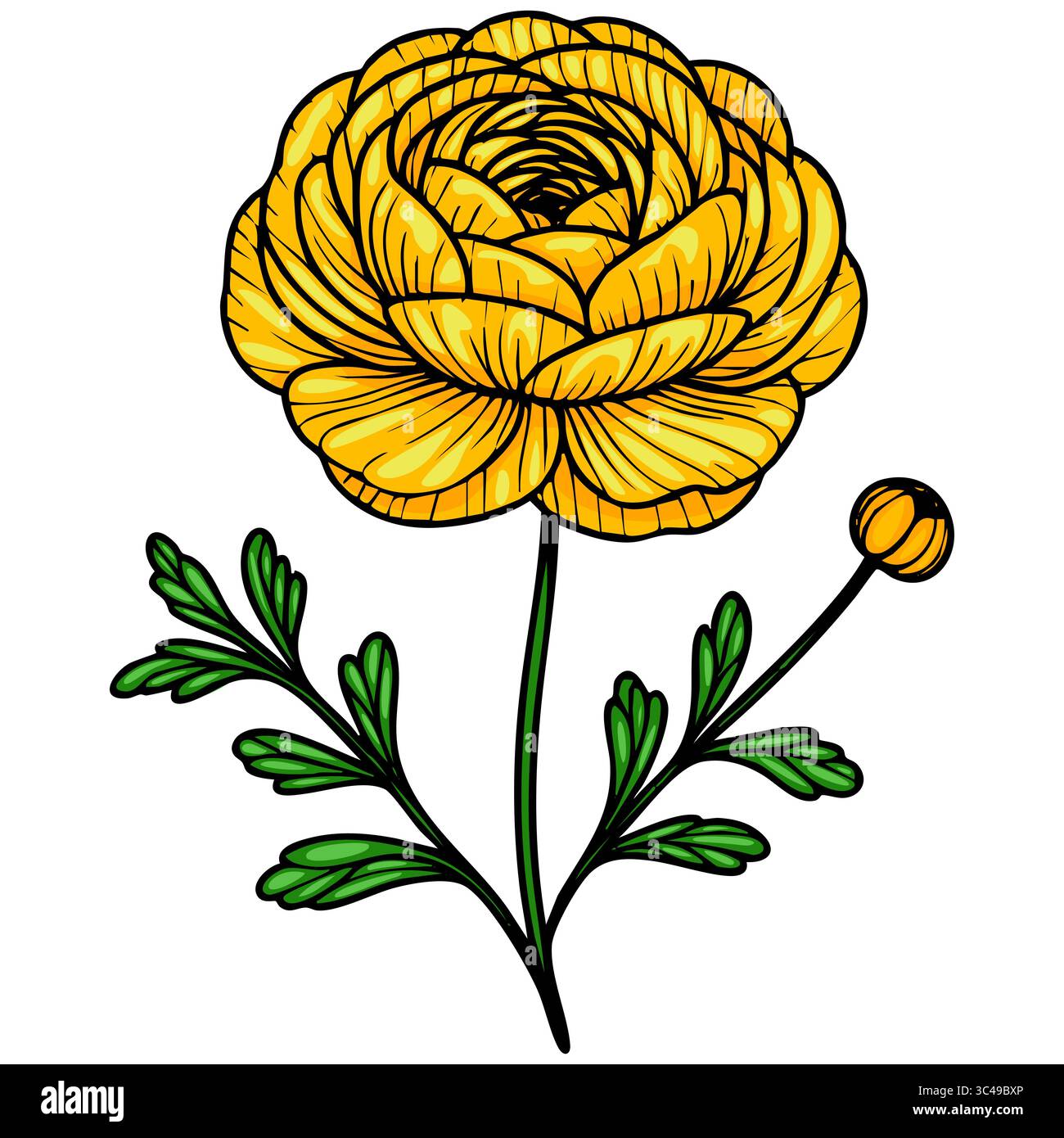 Un vivace fiore vettoriale giallo con petali a strati e foglie verdi, caratterizzato da un bocciolo rotondo. Il fiore ha uno stile dettagliato, disegnato a mano, che sottolinea i Illustrazione Vettoriale