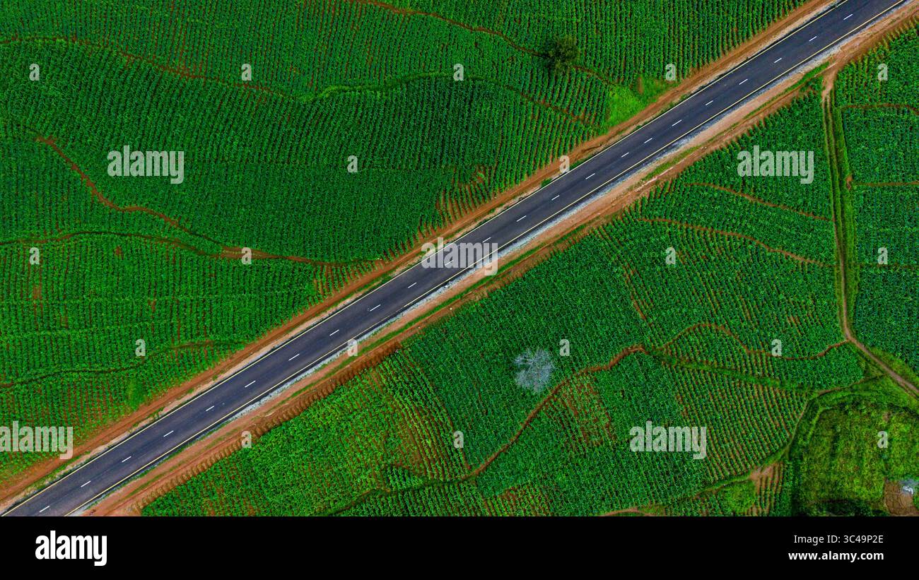 Veduta aerea di una strada nera che attraversa il vibrante paesaggio verde, che mostra l'arte della natura, Kereng, Plateau, Nigeria. Foto Stock