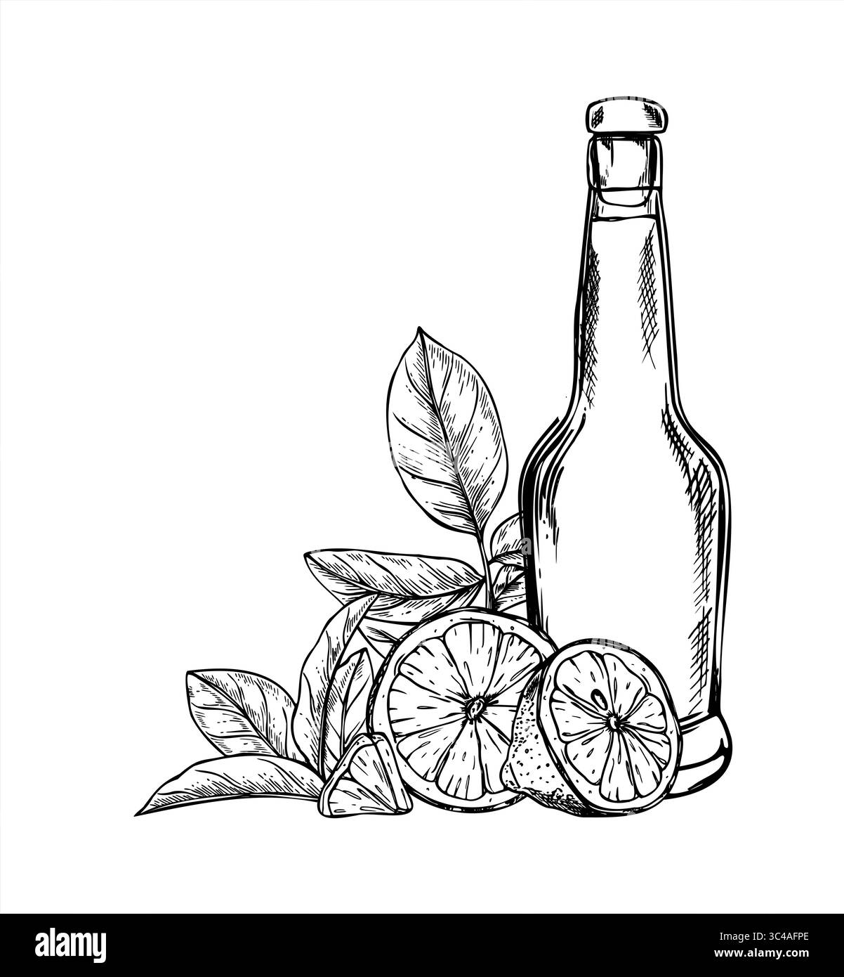 Bottiglia per bevande monocromatica in vetro con fette di limone fresche e illustrazione isolata del vettore delle foglie. Limoncello italiano o liquore al limone tra frutta. Illustrazione Vettoriale