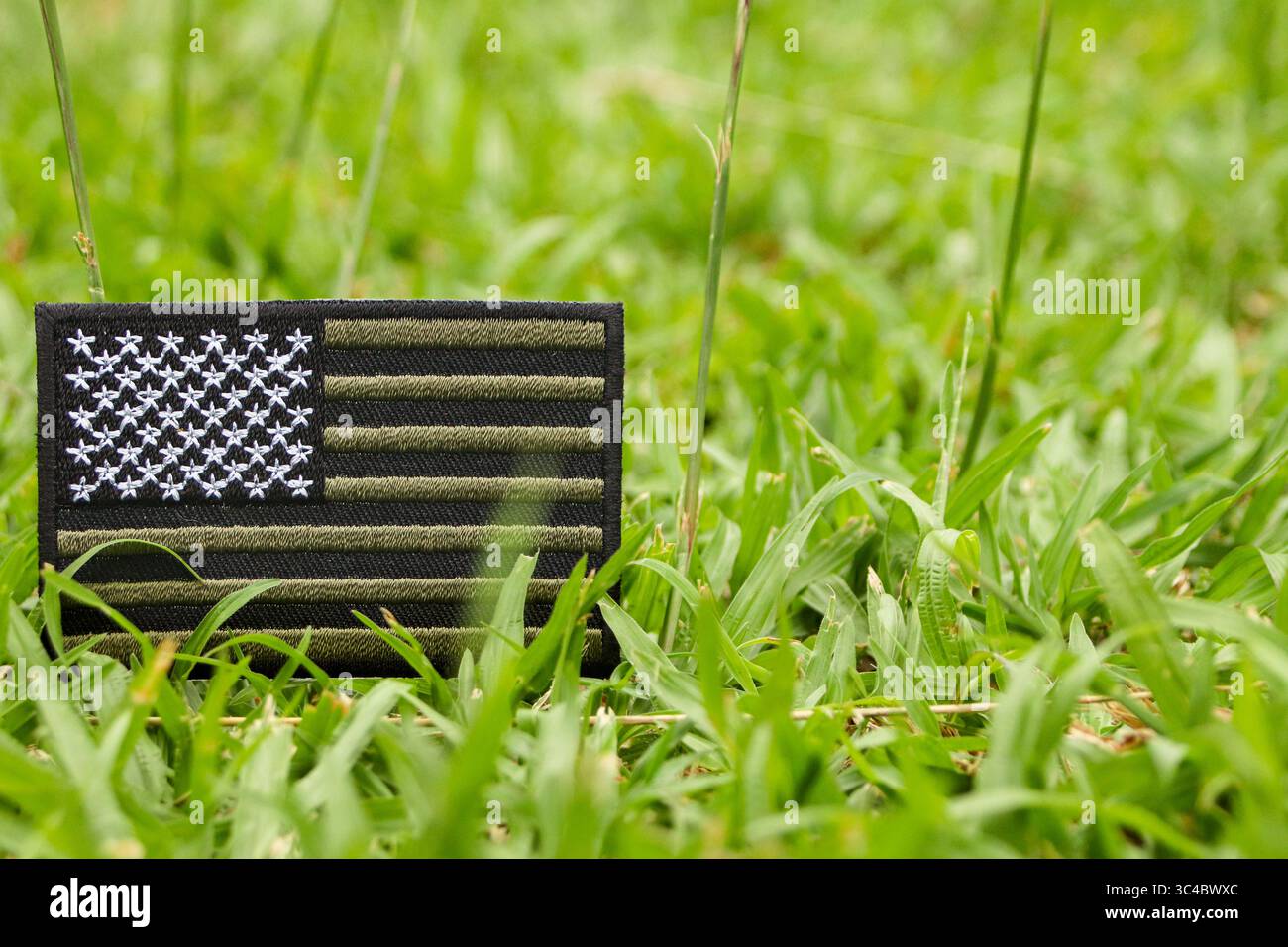 Toppa con bandiera statunitense attenuata su erba verde con spazio per copie. Un simbolo di patriottismo pacifico e identità eco-consapevole per la giornata della Terra e la consapevolezza del clima. Foto Stock