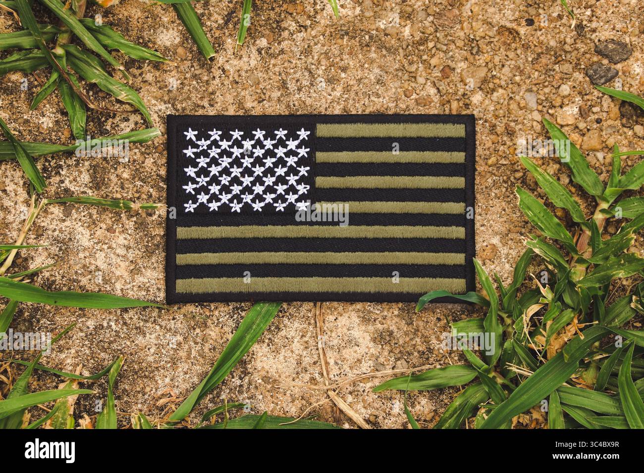 Toppa di bandiera americana sommersa ricamata a mano su pietra antica con copertura in erba, simbolo dell'eco-consapevolezza, dell'azione per il clima e del patriottismo sostenibile. Foto Stock