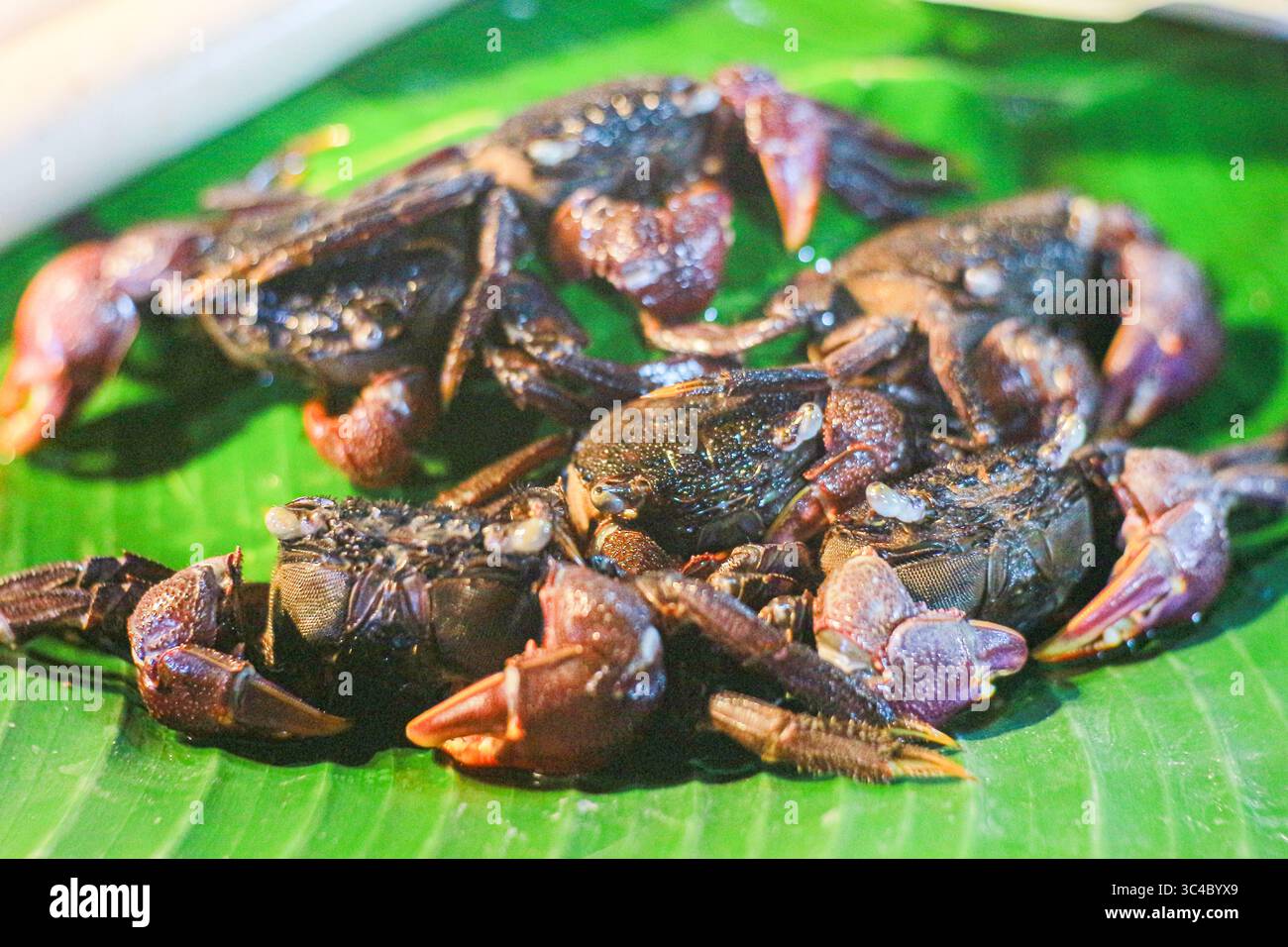 Granchi fermentati adagiati su foglie di banana, comunemente usati nell'insalata Thai som tam. Un popolare ingrediente di Street food locale presente nel turismo culinario. Foto Stock